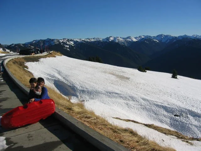 2005-11-19 DAY ON HURRICANE RIDGE.JPG