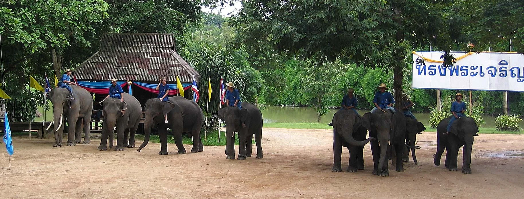 2008 Lampang City & Elephant Center (130).jpg