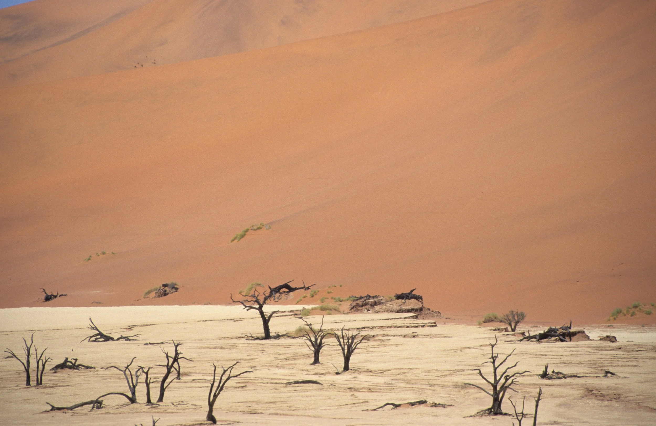 NAMIB DESERT 1.jpg