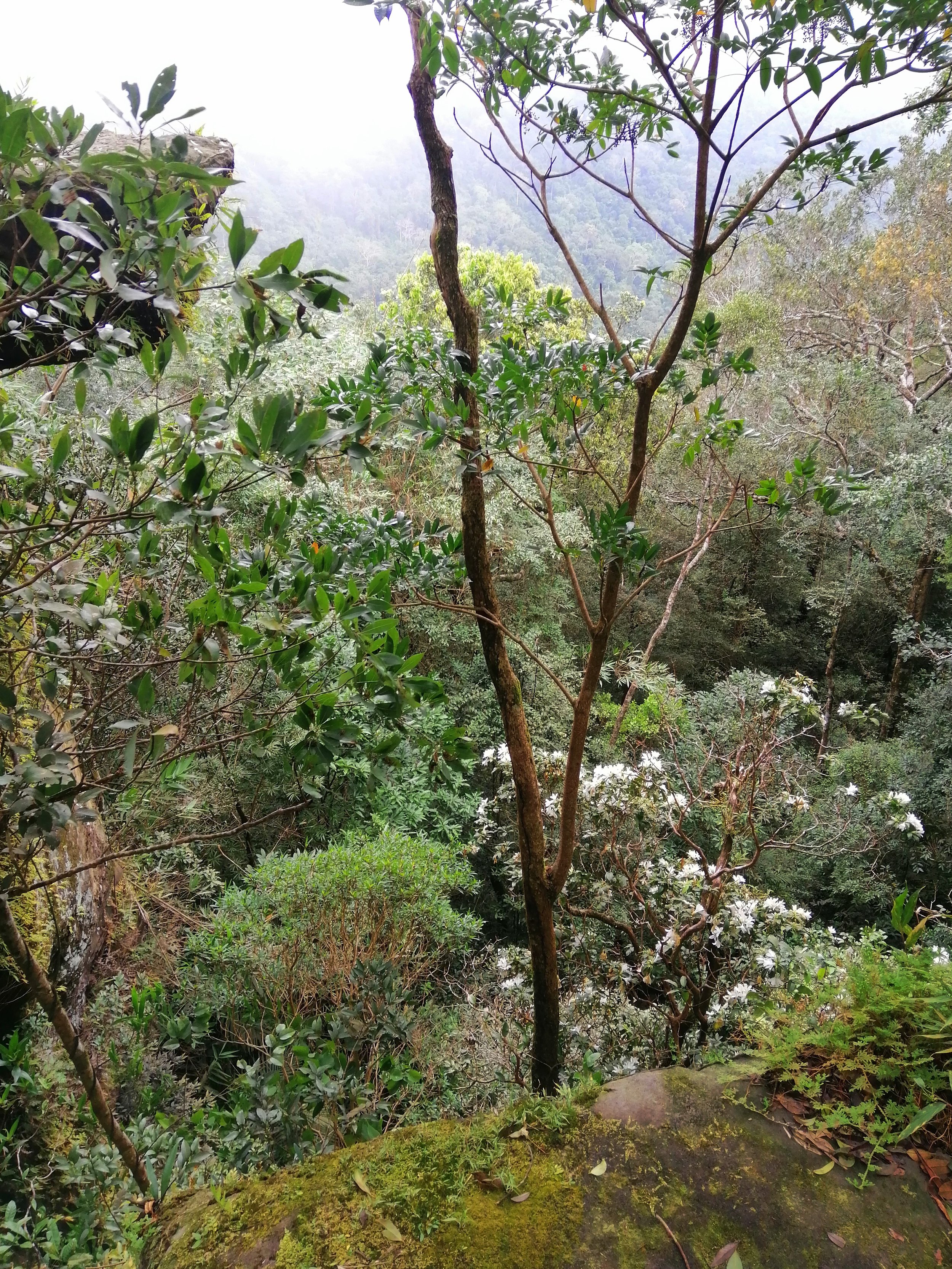 KHAO YAI - PHA DIEW DAI (10).jpg