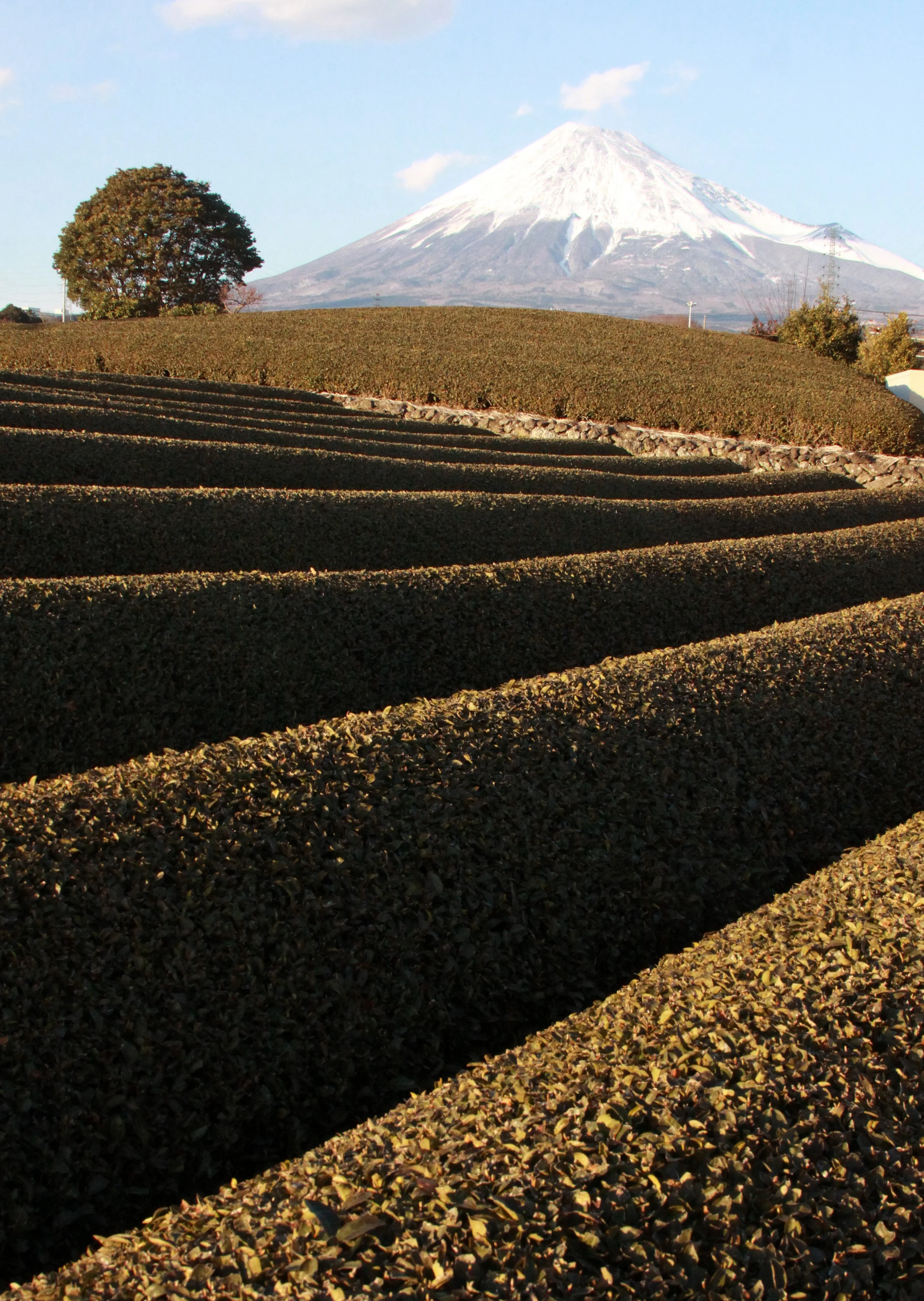 MOUNT FUJY - AS SEEN FROM FUJI CITY JAPAN (8).JPG