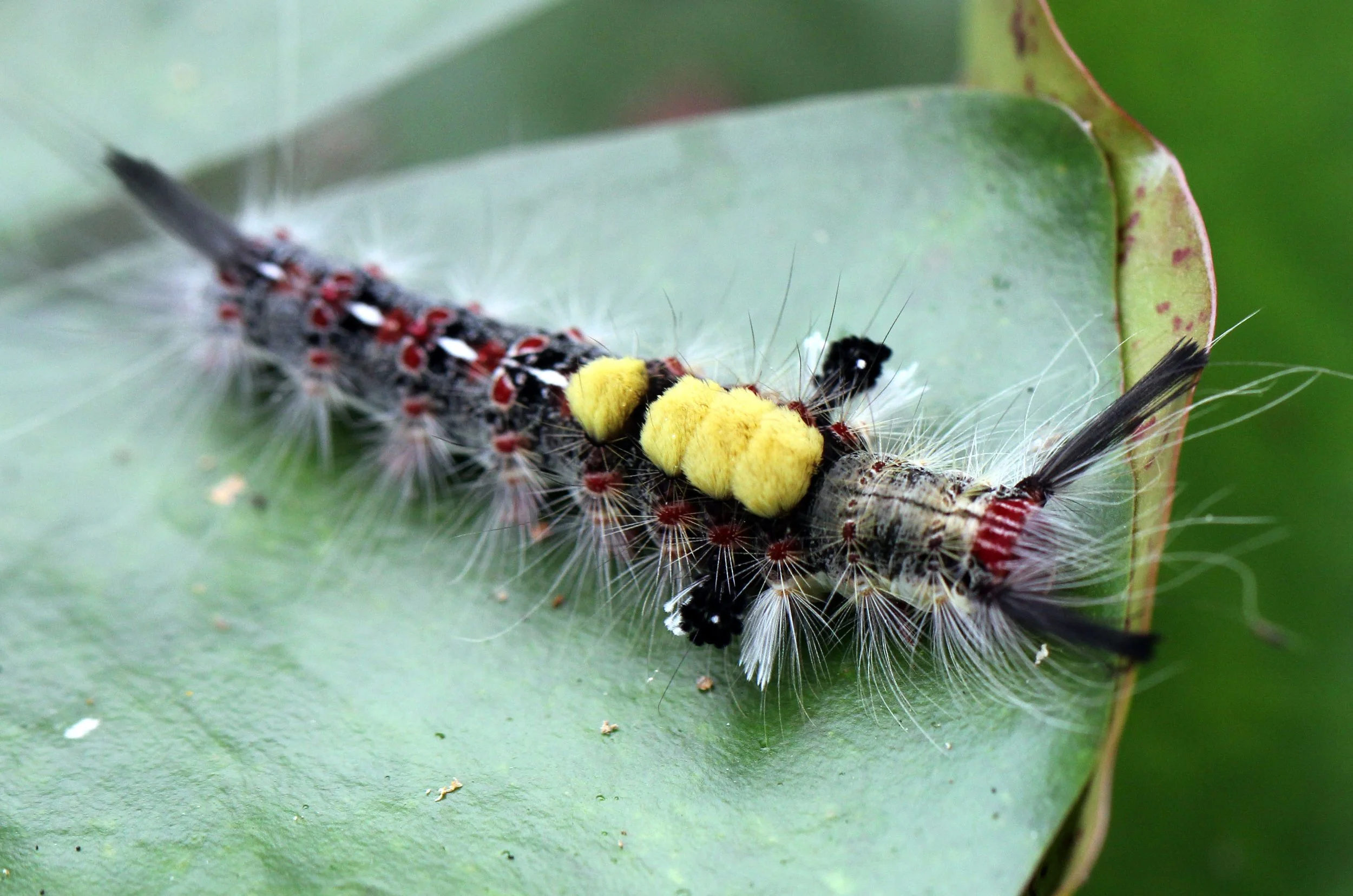 2013 Cha'am and Petchaburi with Family & Friends (16).JPG