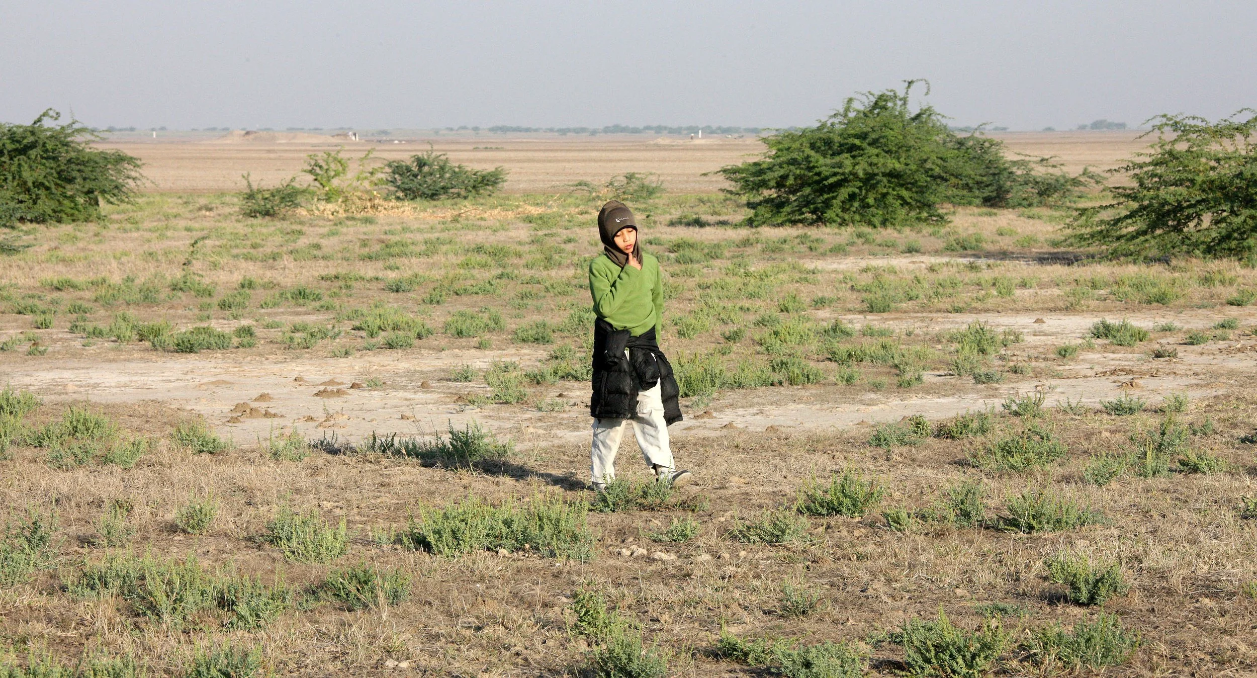 GUJARAT - KUTCH - LITTLE RANN OF KUTCH INDIA (53).JPG