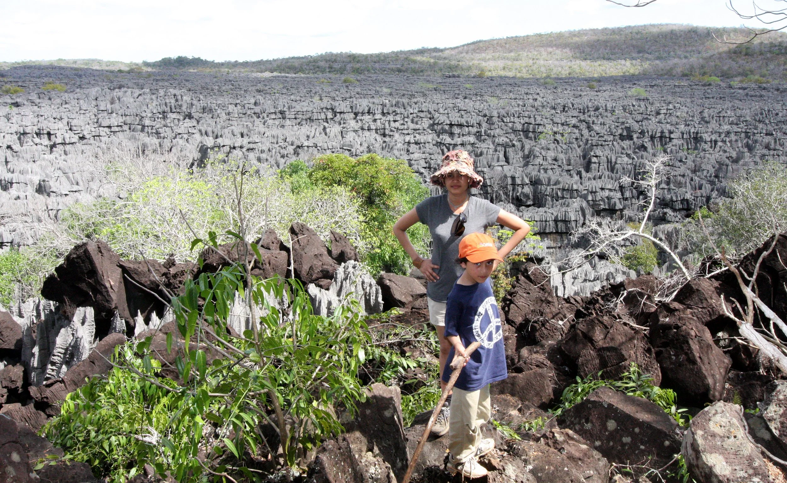 ANKARANA NATIONAL PARK MADAGASCAR - TSINGY FOREST.JPG