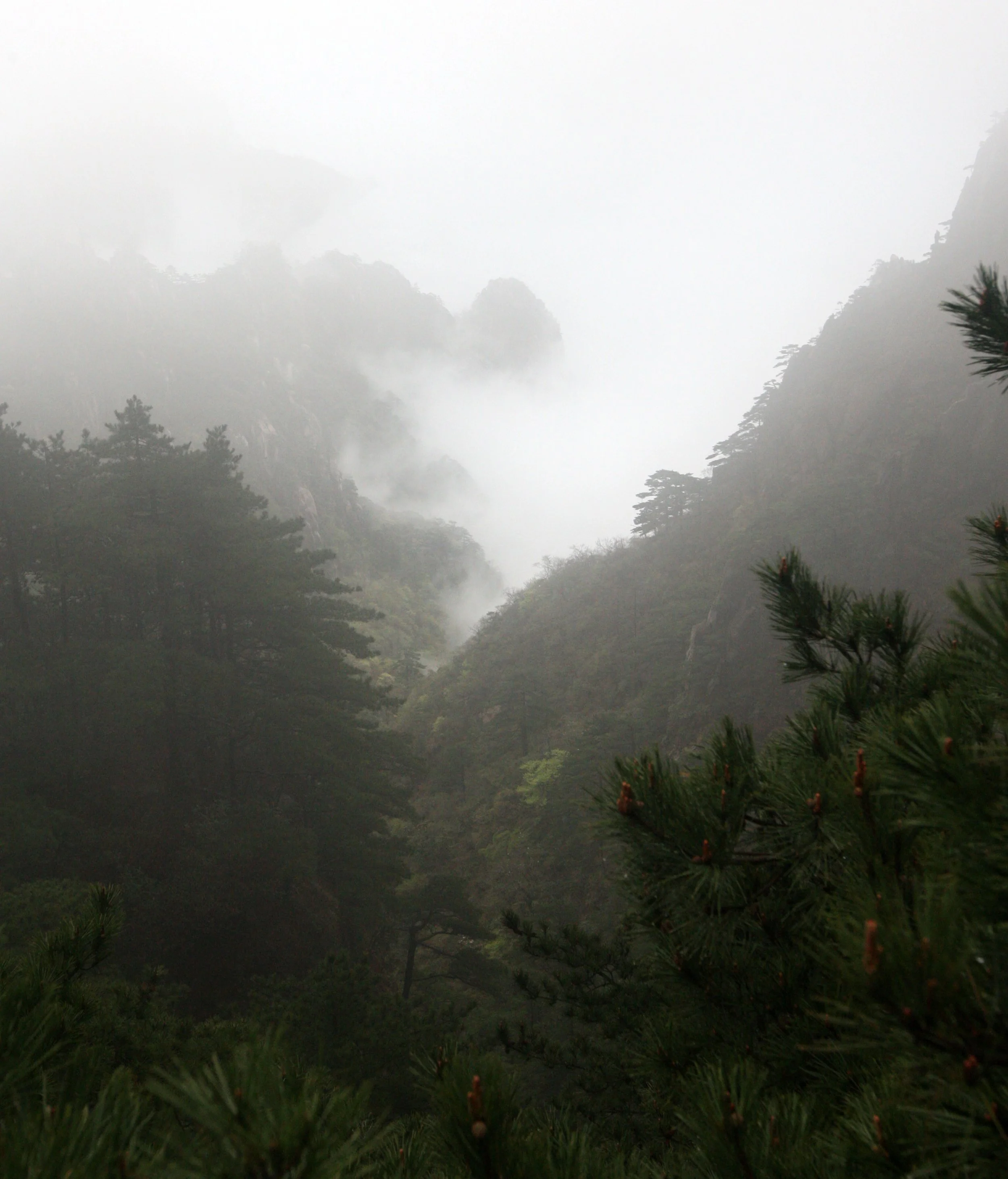 HUANGSHAN NATIONAL PARK ANHUI PROVINCE CHINA (241).JPG
