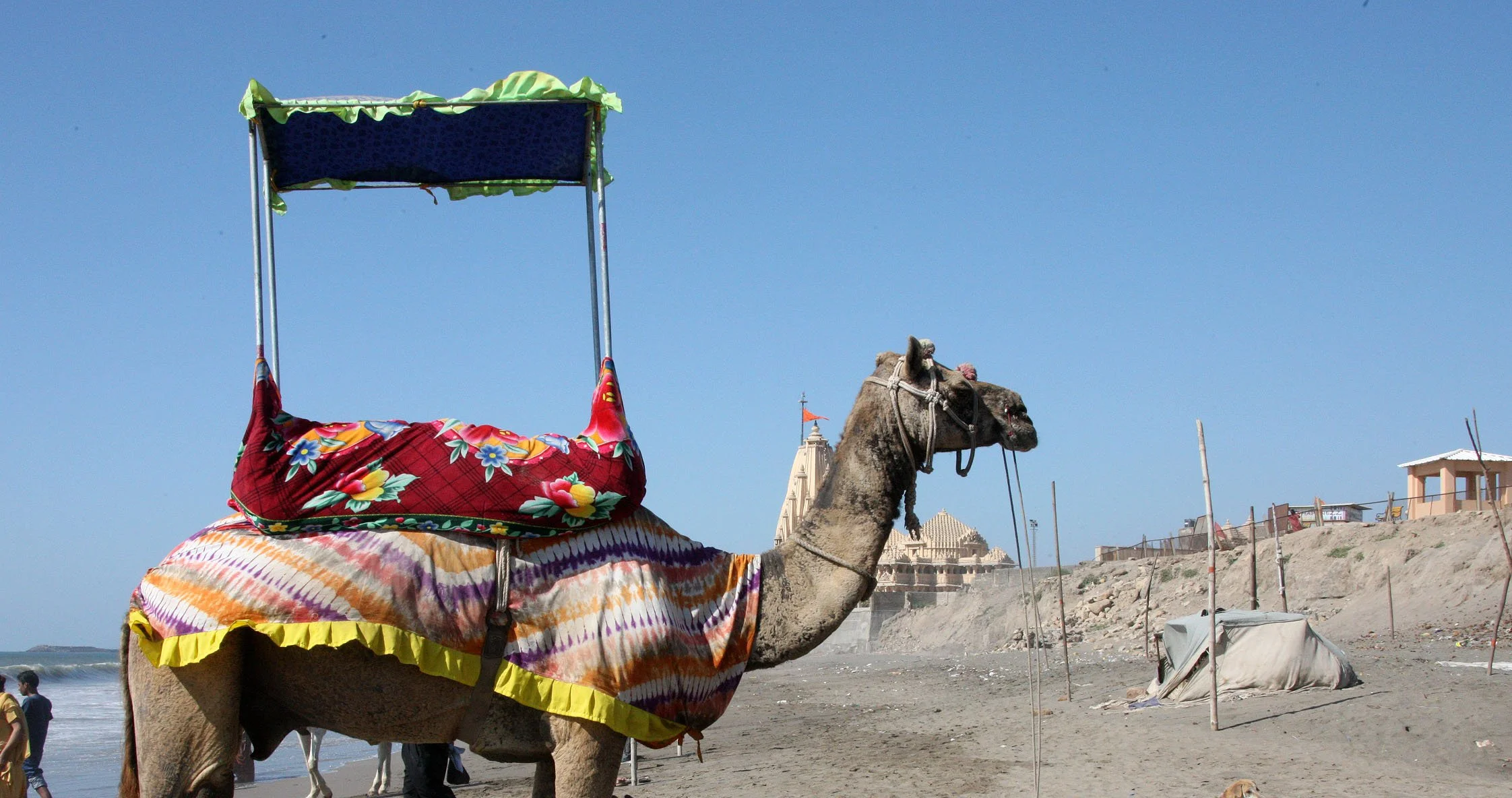 GUJARAT - SOMNATH TEMPLE AND TOWN - INDIA (36).JPG
