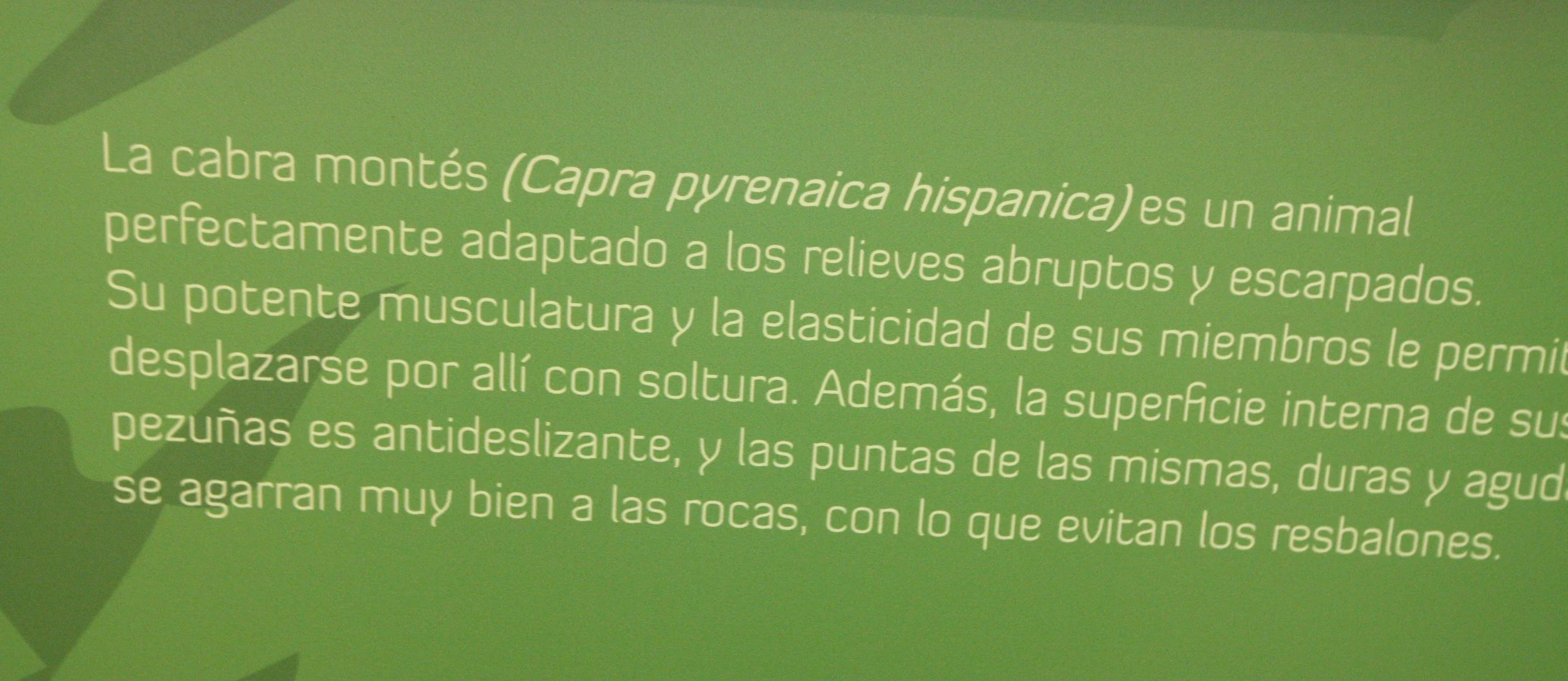 EL TORCAL SPAIN (32).JPG