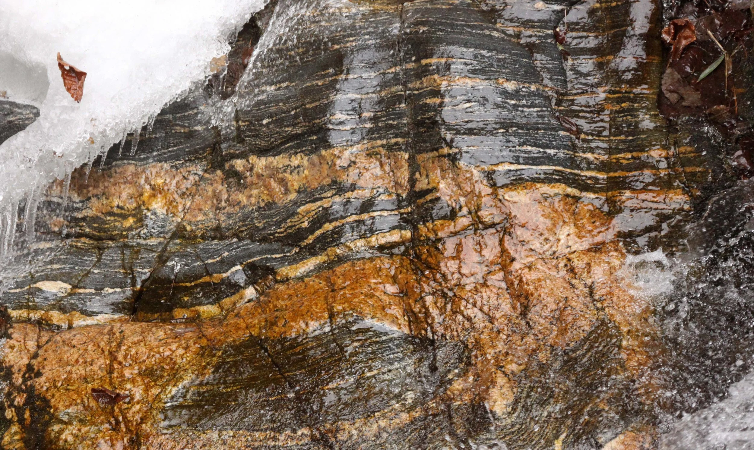 FOPING NATURE RESERVE - SHAANXI PROVINCE CHINA (116).JPG