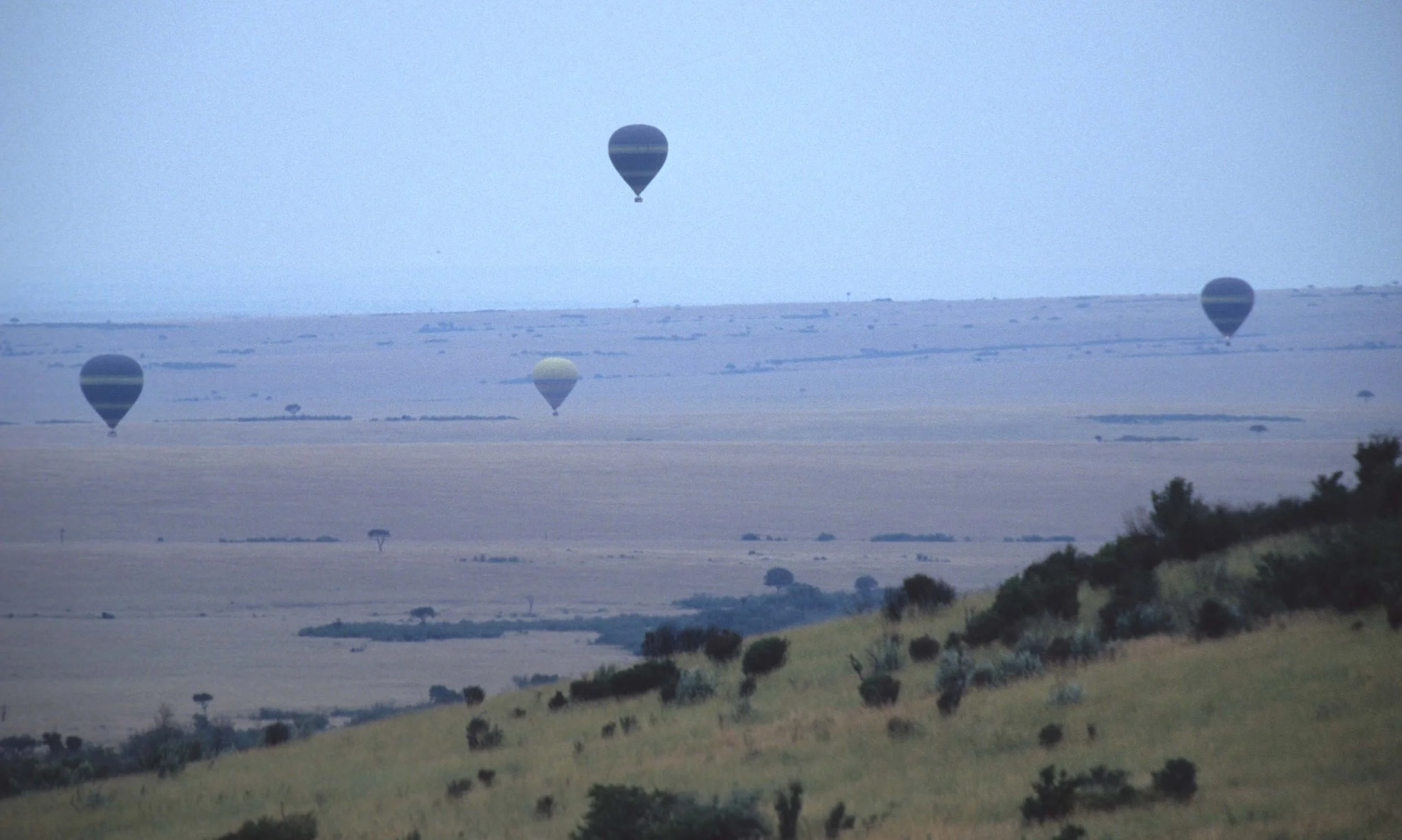 SERENGETI - MASAI MARA 1.jpg
