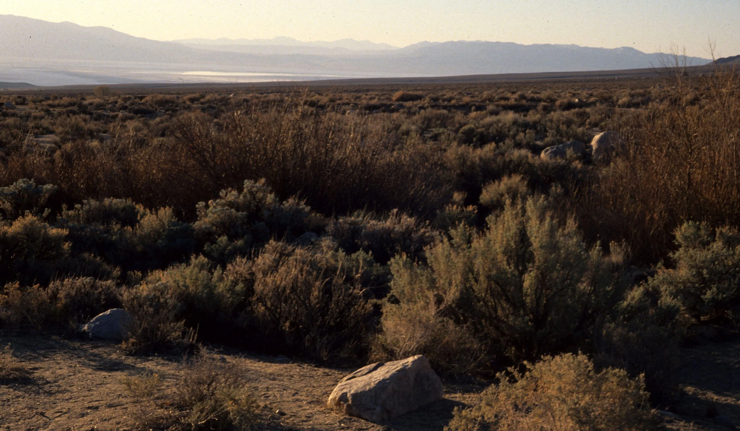 CALIFORNIA - SIERRA NEVADA - EAST SIDE - OWEN LAKE.jpg