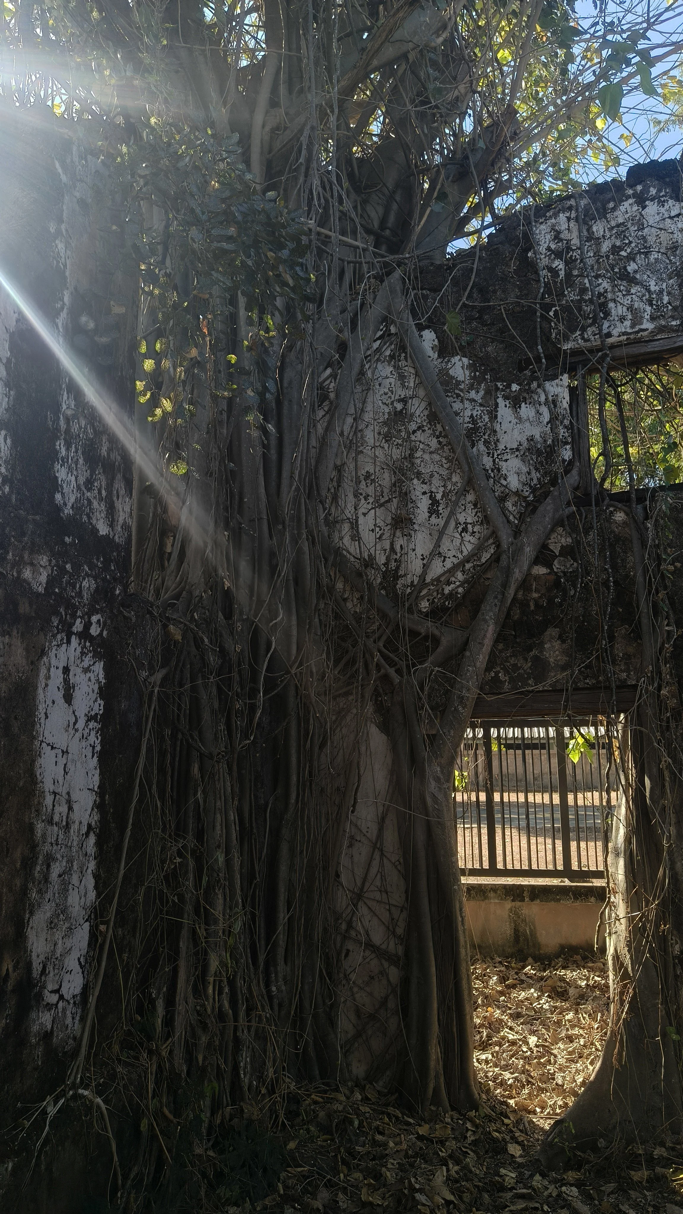 Stone House - Sakon Nakhon Province (2).jpg