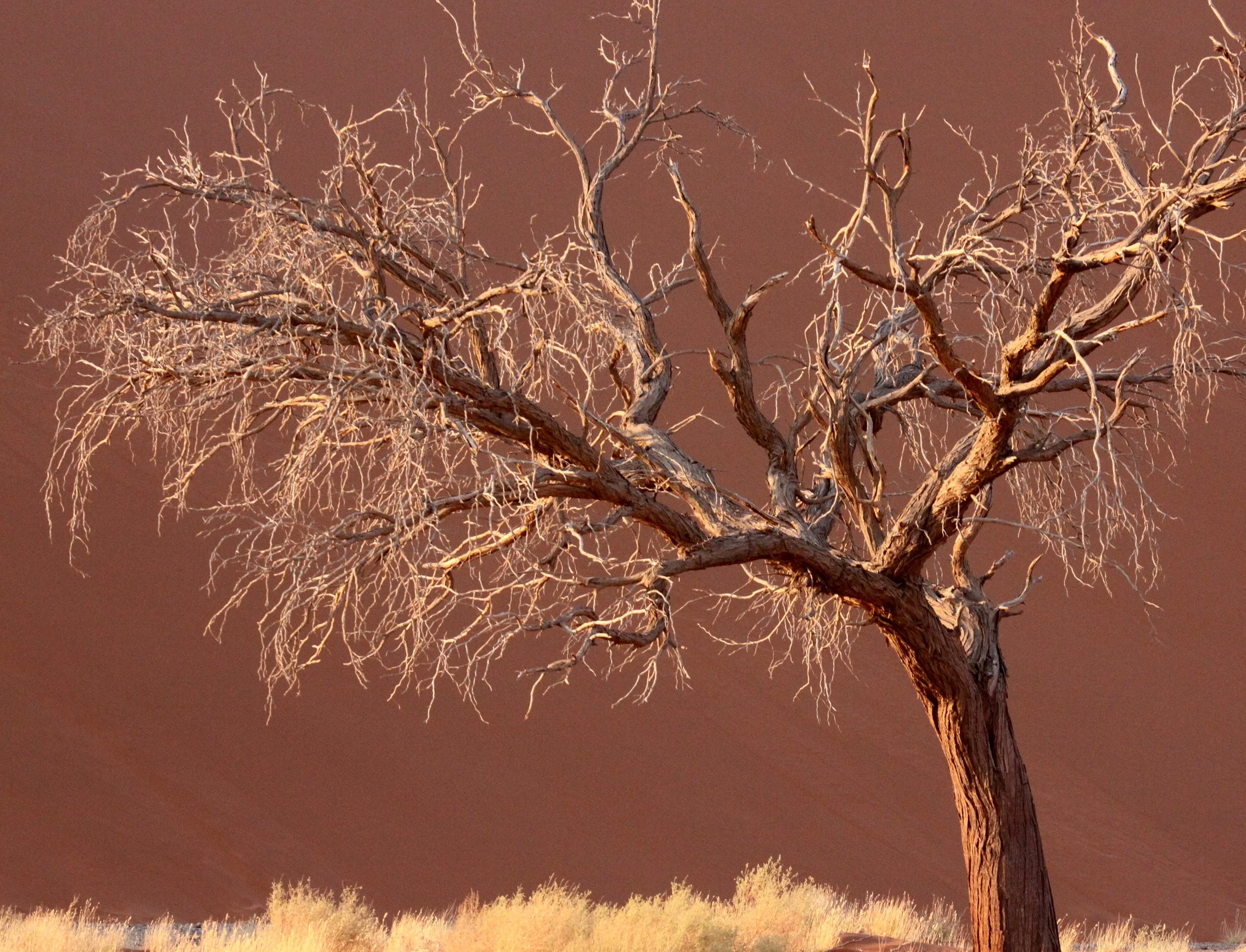 SOSSUSVLEI, NAMIB NAUKLUFT NATIONAL PARK, NAMIBIA - SESREIM VIEWS (10).JPG