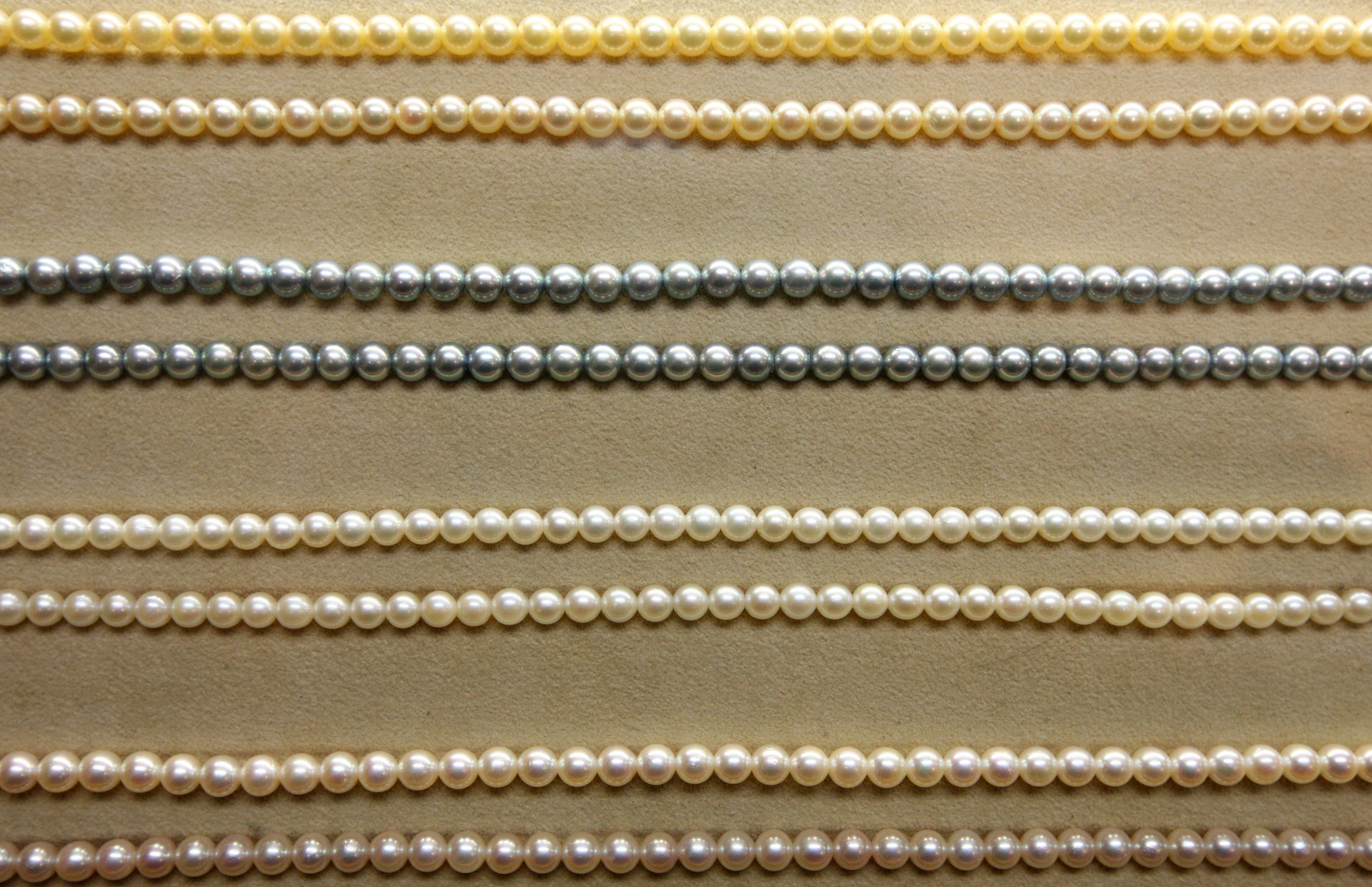 MIKIMOTO PEARL ISLAND AND MUSEUM - TOBA JAPAN (27).JPG