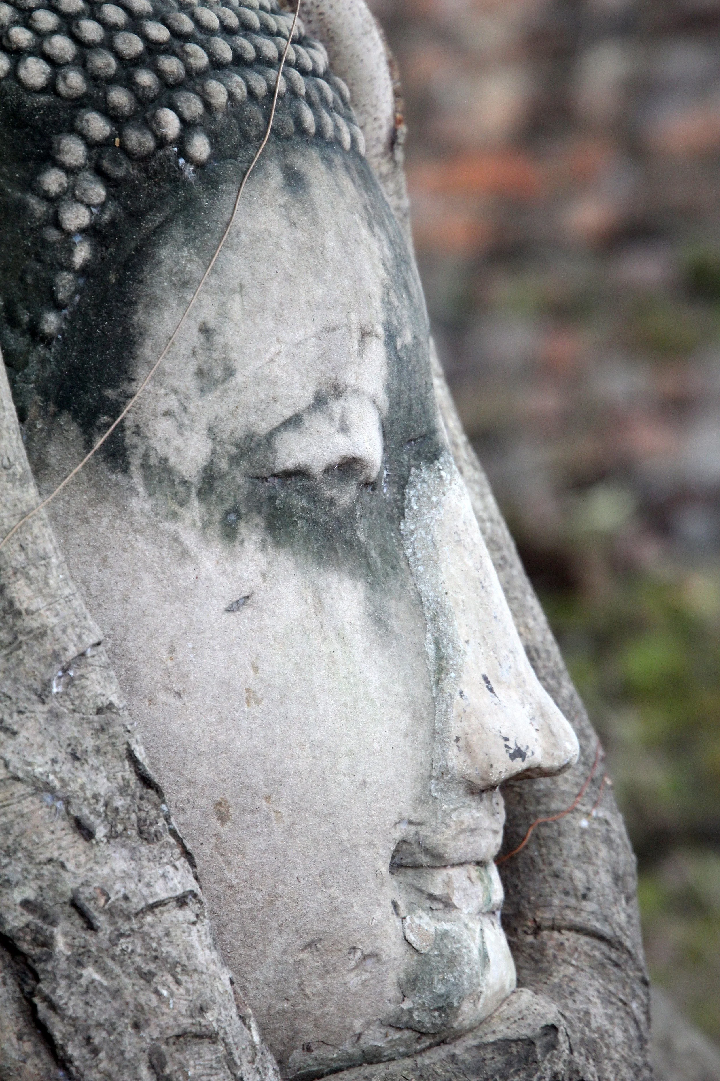 AYUTTHAYA PASSION DAY NOVEMBER 2013 (68).JPG