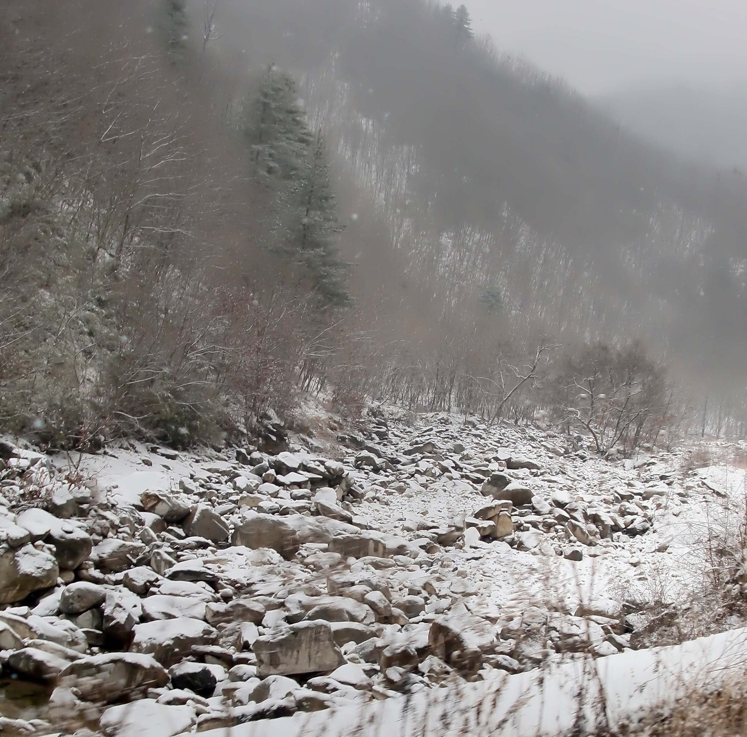 FOPING NATURE RESERVE - SHAANXI PROVINCE CHINA (2).JPG