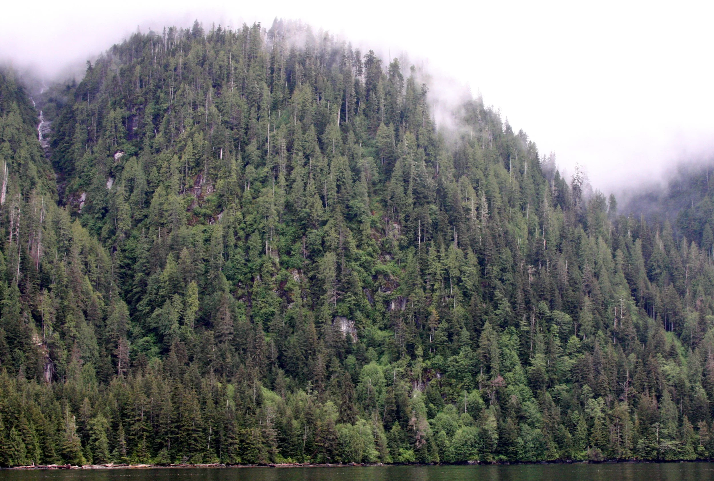 KNIGHT'S INLET BRITISH COLUMBIA (27).JPG