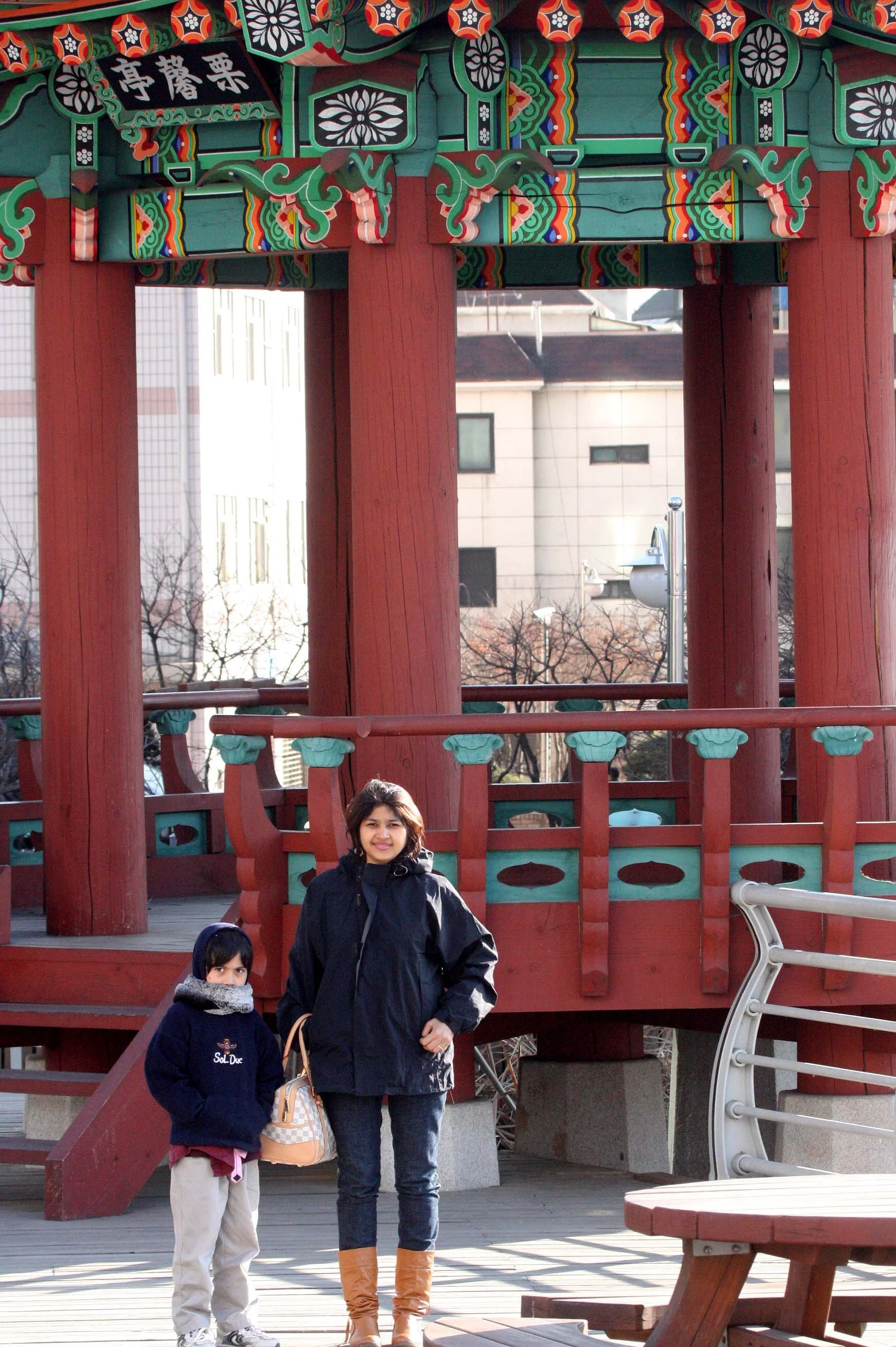 SEOUL - BIRDING AT BAMSOEN ISLAND KOREA.JPG