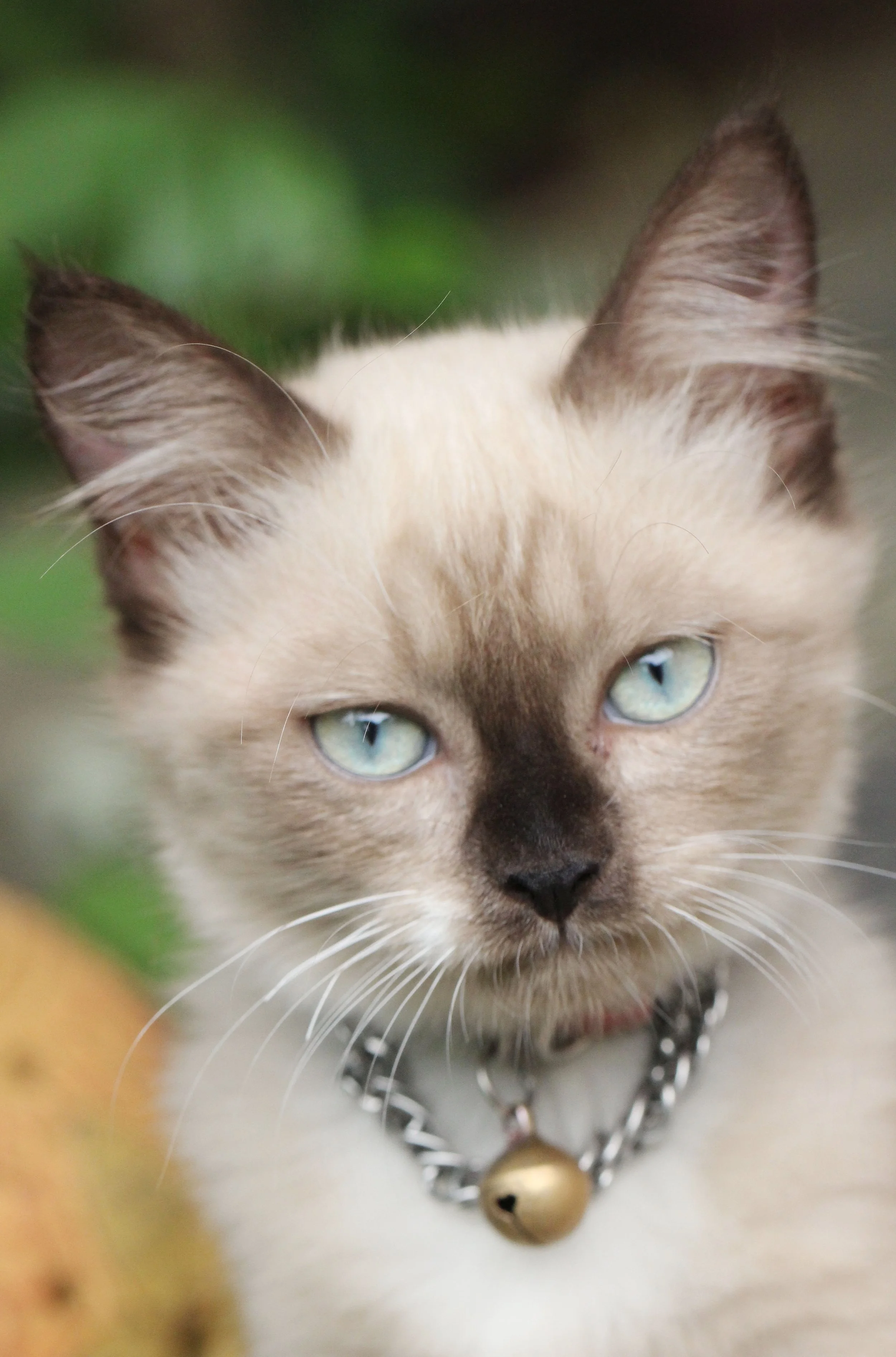 2015 Koh Lanta October Break Trip  (178).JPG