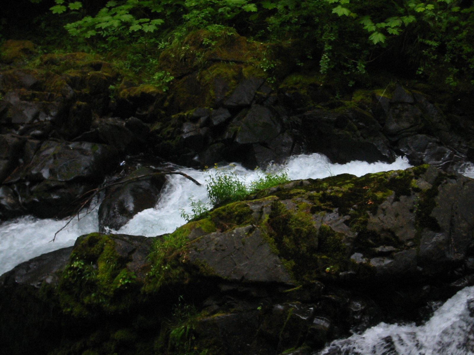 2003-8-3 WASHINGTON VISIT WITH THE ROBINSONS (90).JPG