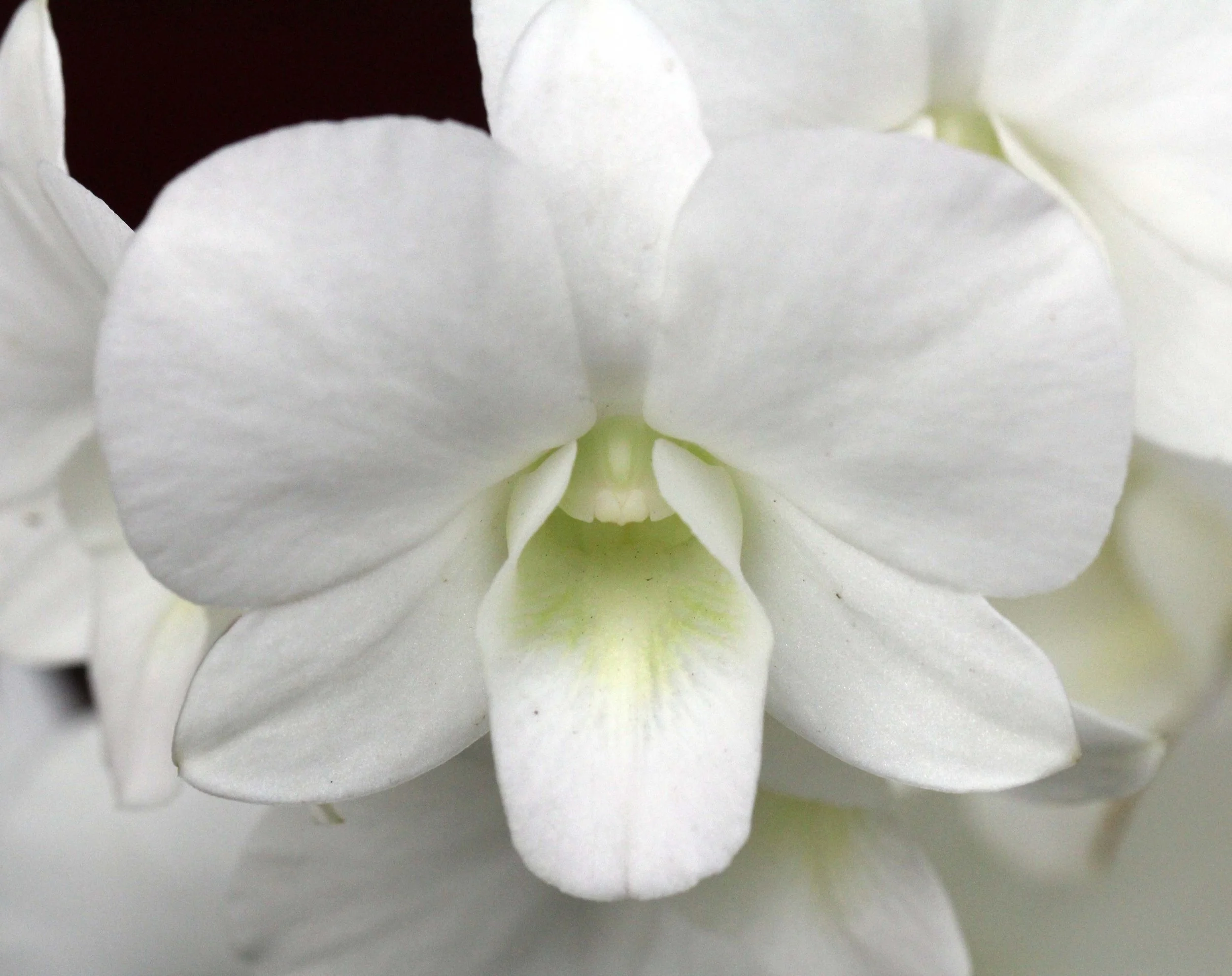 2013 Ayutthaya ISB Passion Day (112).JPG