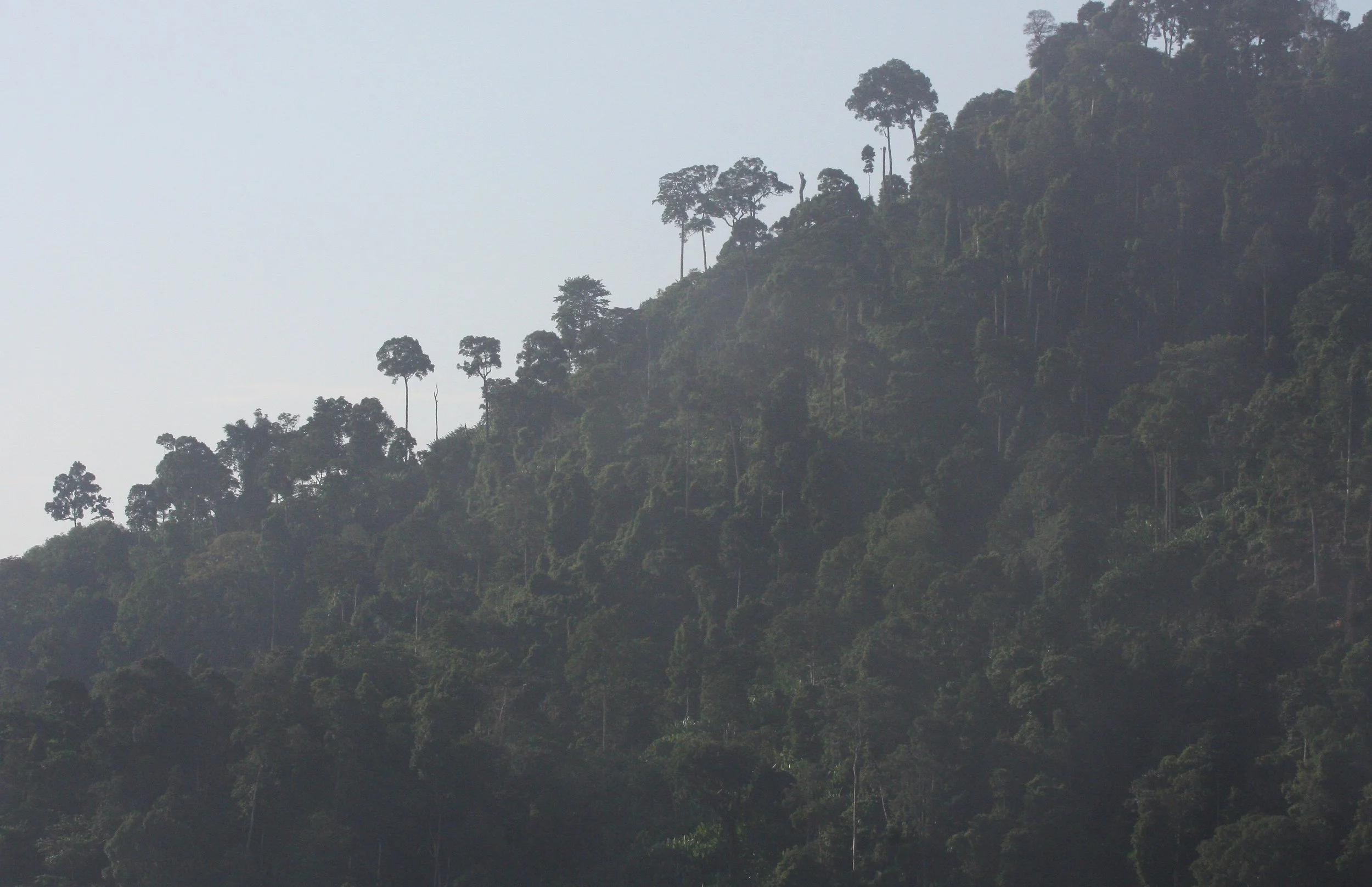 KRUNG CHIN NP - THALE MOG VIEW POINT THAILAND (10).JPG