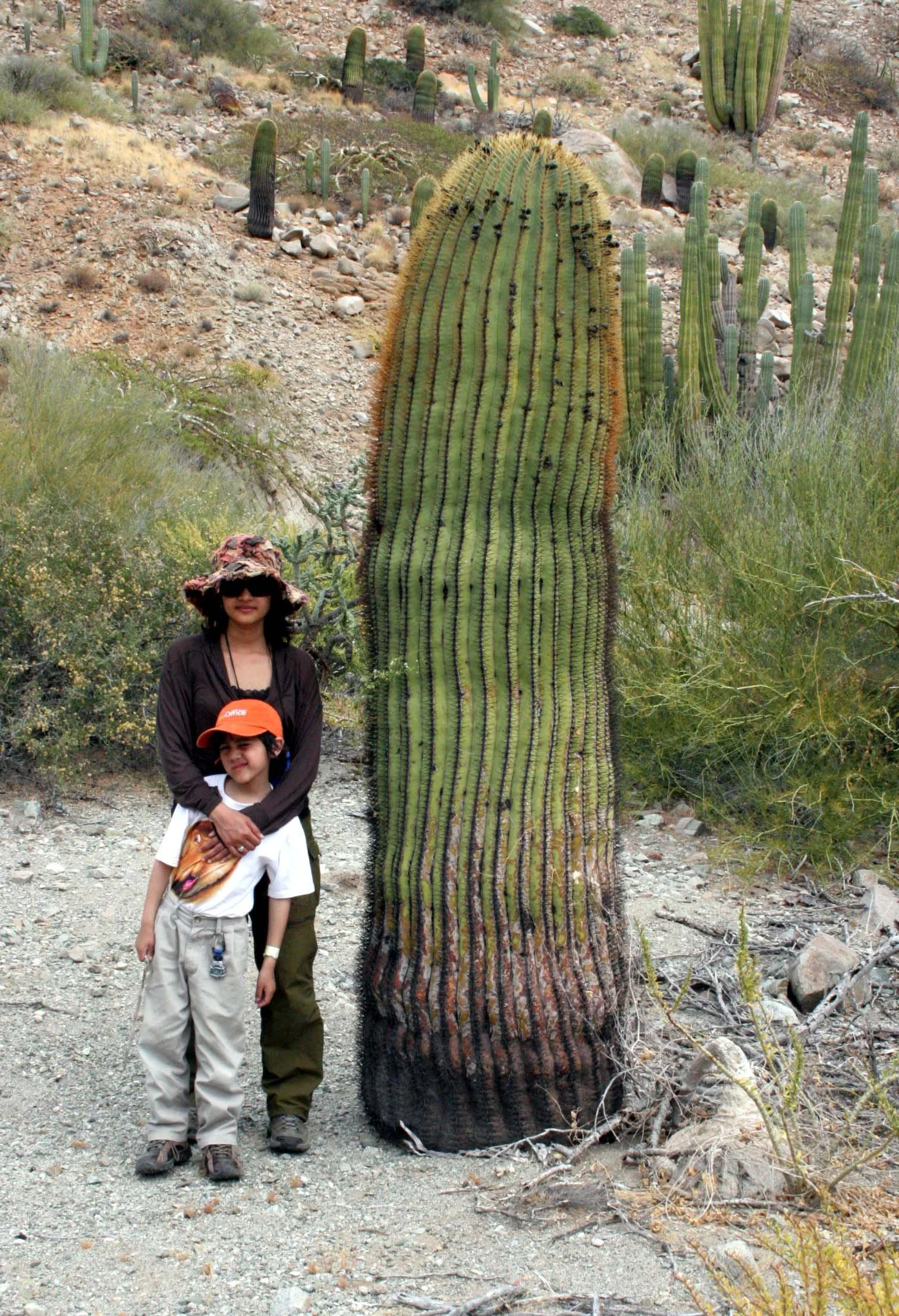 ISLA CATALINA - WITH THE CATALINA BARREL CACTUS.JPG