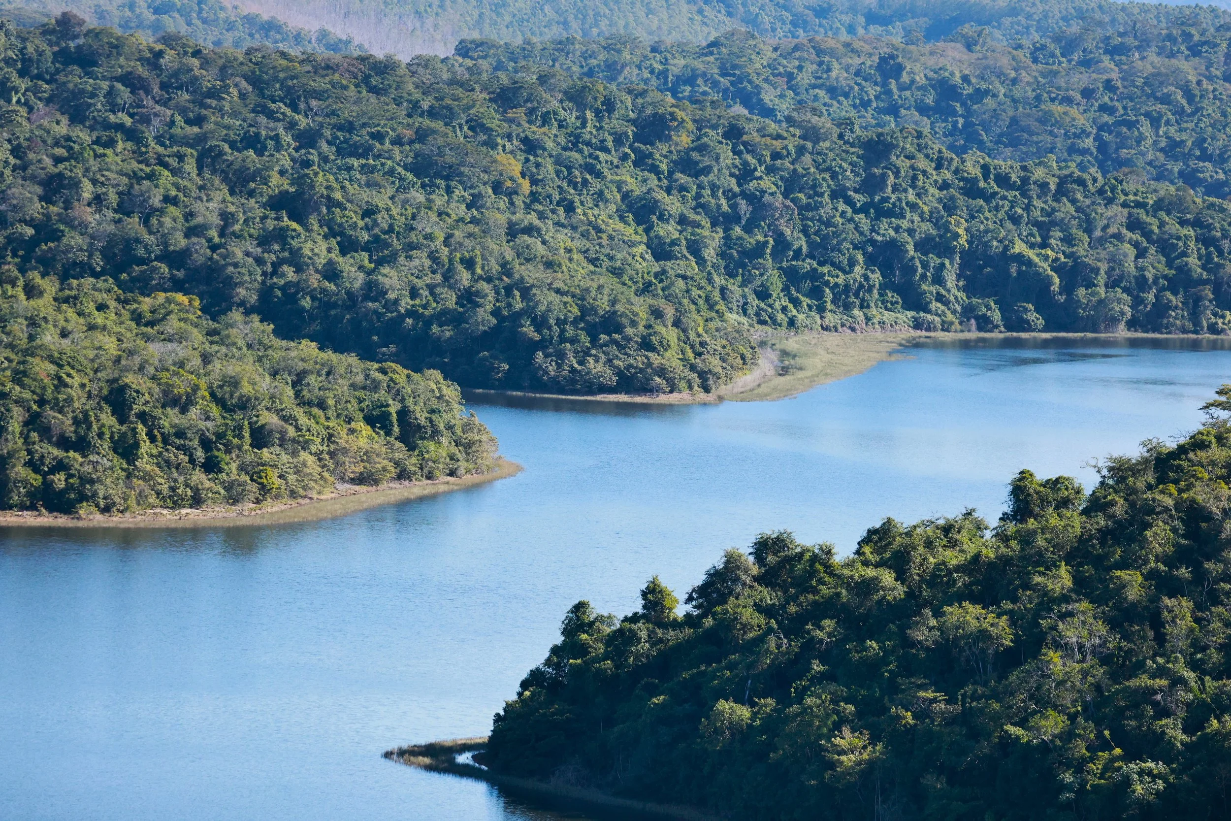 Rio Doce State Park, Minas Gerais, Brazil (36).JPG