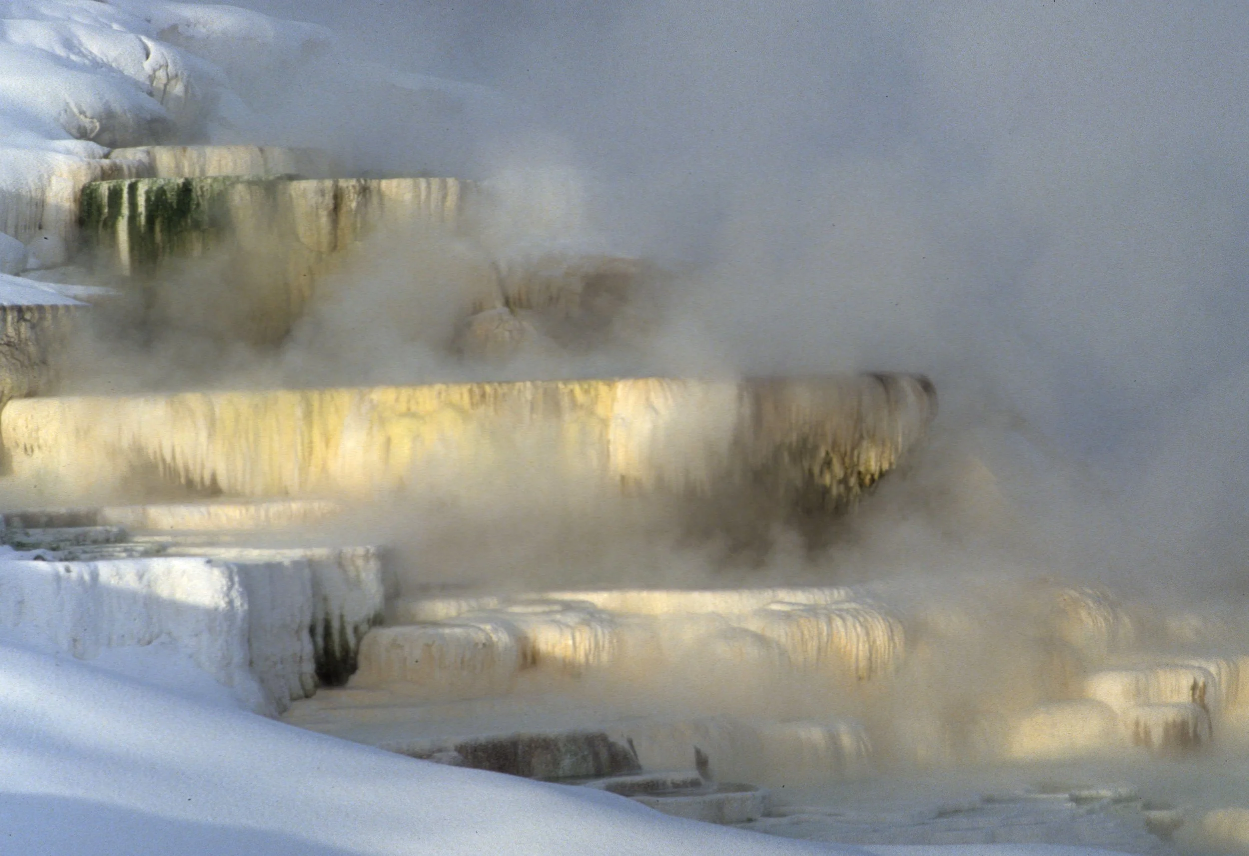 YELLOWSTONE IN WINTER - MAMMOTH HOTSPRINGS.jpg