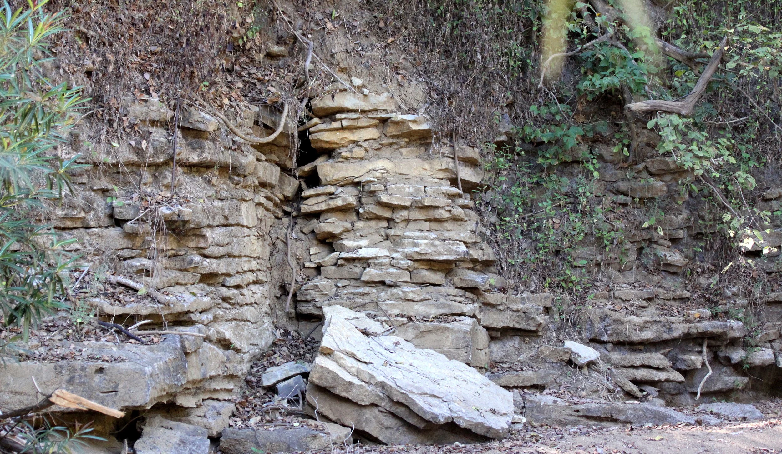 ANKARANA NATIONAL PARK MADAGASCAR - FOSSIL LAYERS (6).JPG