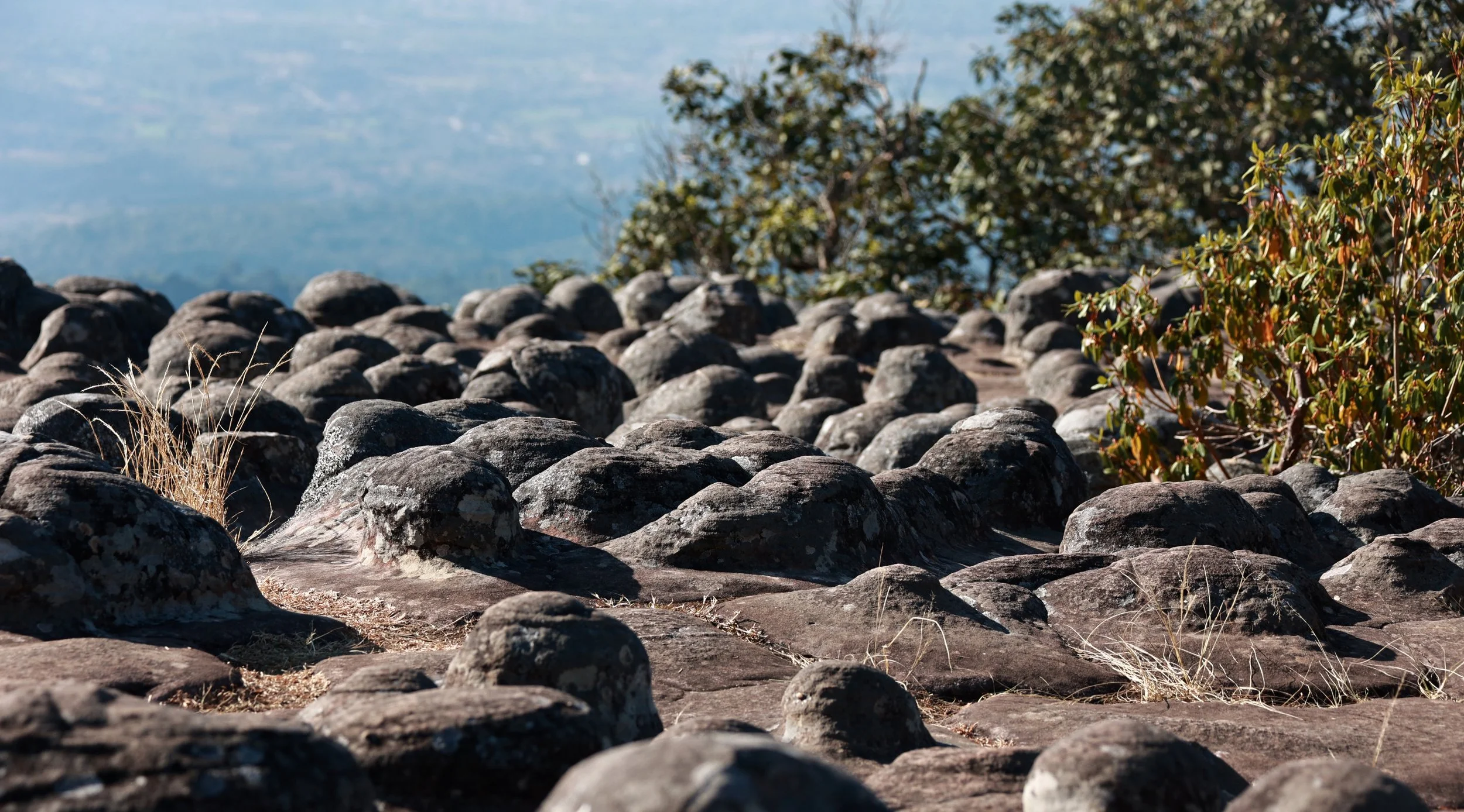 Phu Hin Rong Kla National Park Loei Province (68).jpg