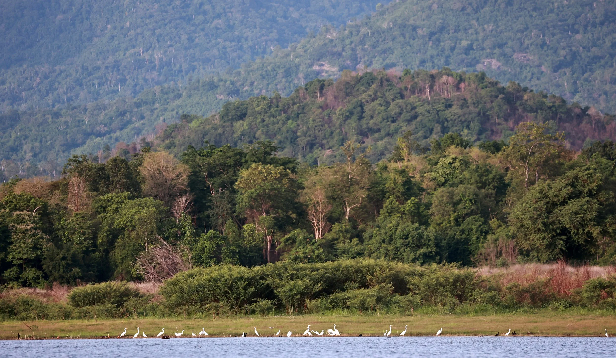 Views of the Dry Deciduous Forests of Huai Kha Khaeng from Thap Salao Reservoir.