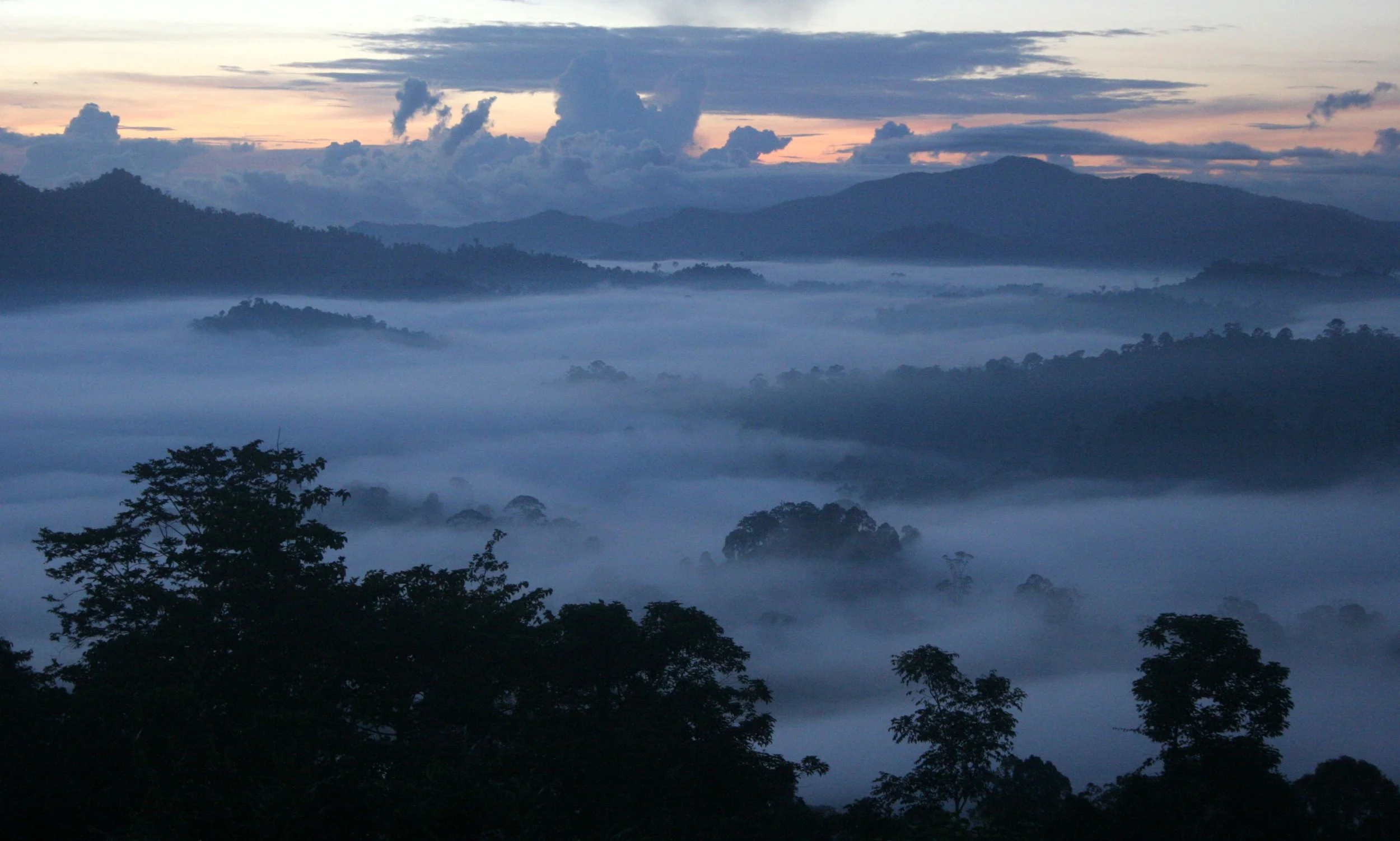 DANUM VALLEY BORNEO - SUNRISE OVER THE DANUM (18).JPG