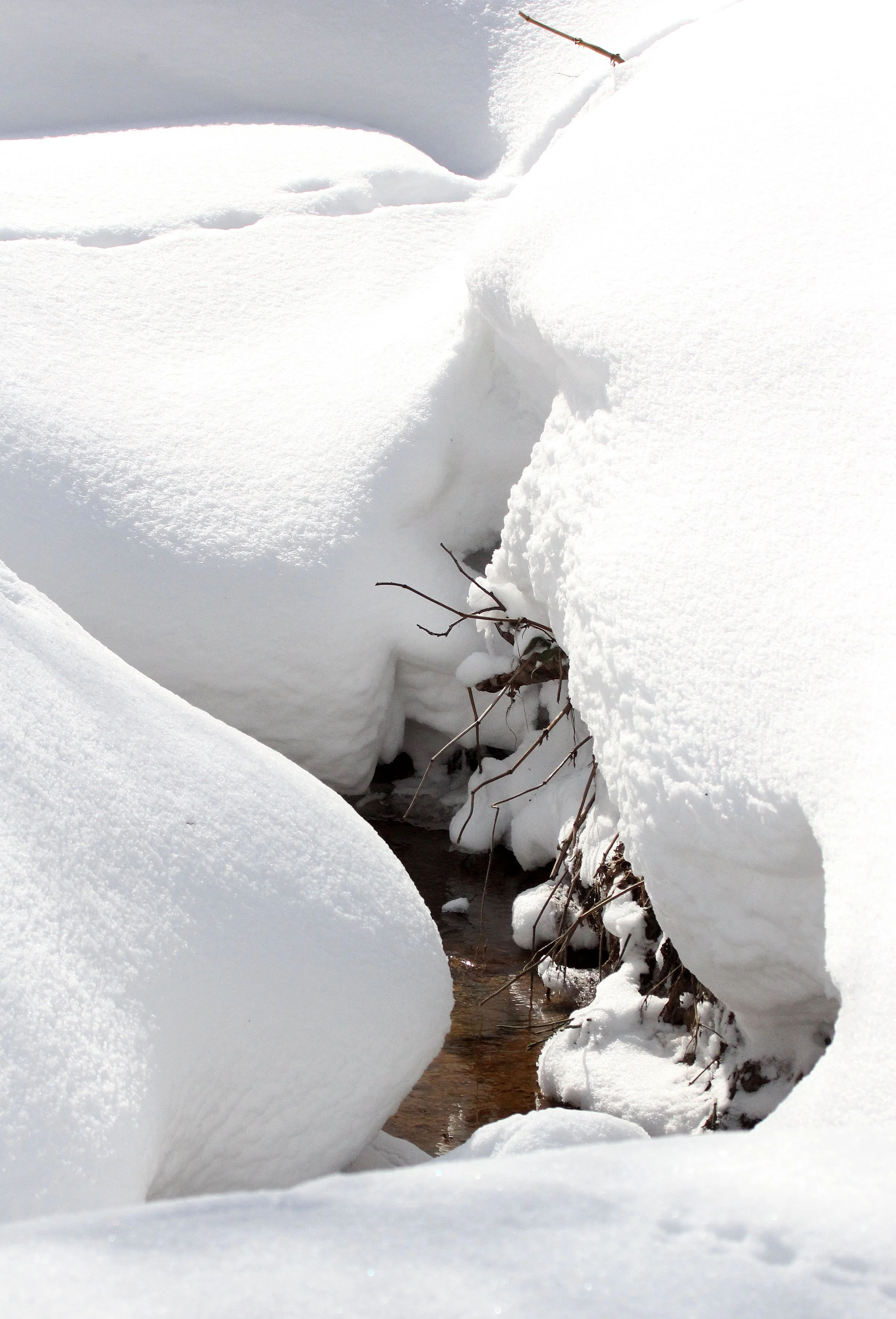 KINOHIROBA PARK - ABASHIRI - HOKKAIDO JAPAN (36).JPG