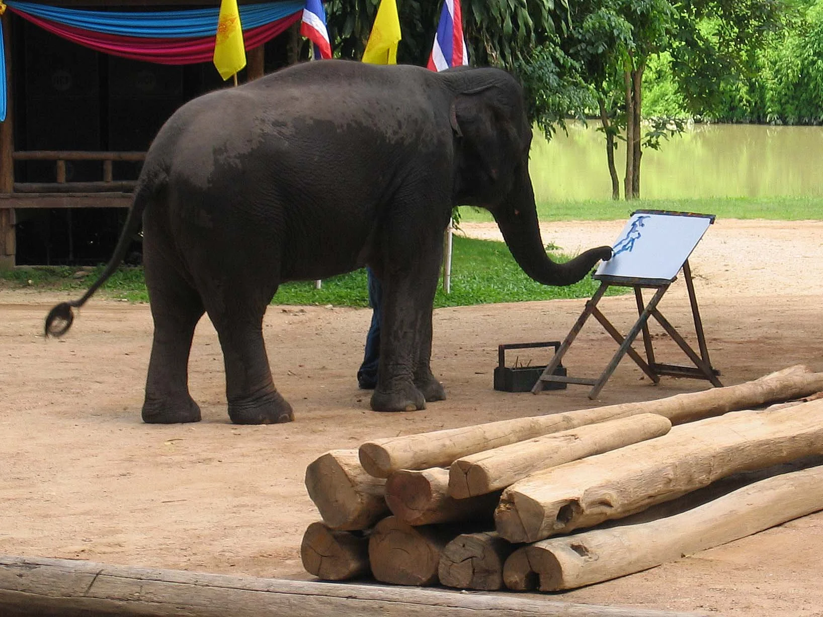2008 Lampang City & Elephant Center (143).jpg