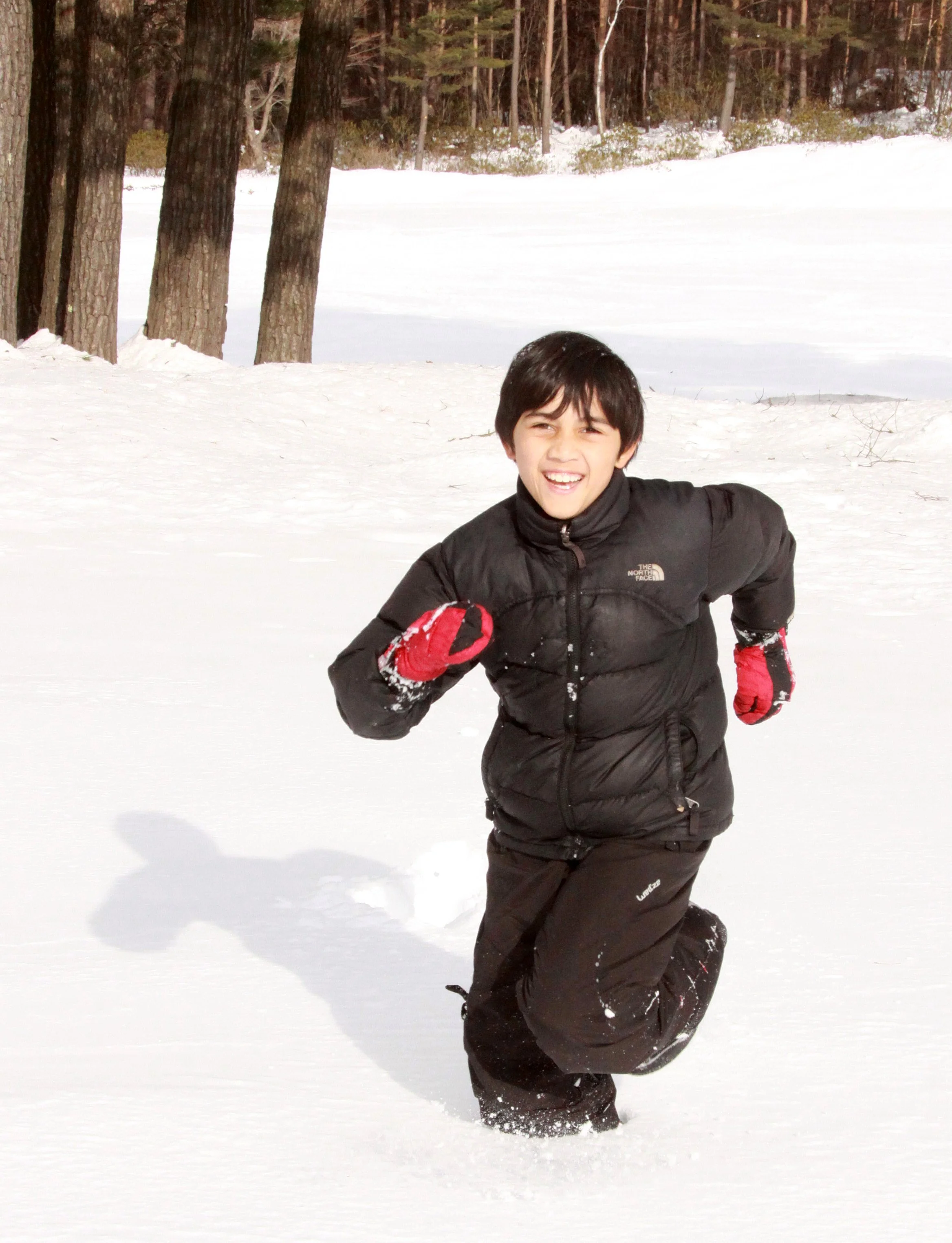 MOUNT ASAMA - JOSHIN'ETSUKOGEN NATIONAL PARK JAPAN (50).JPG