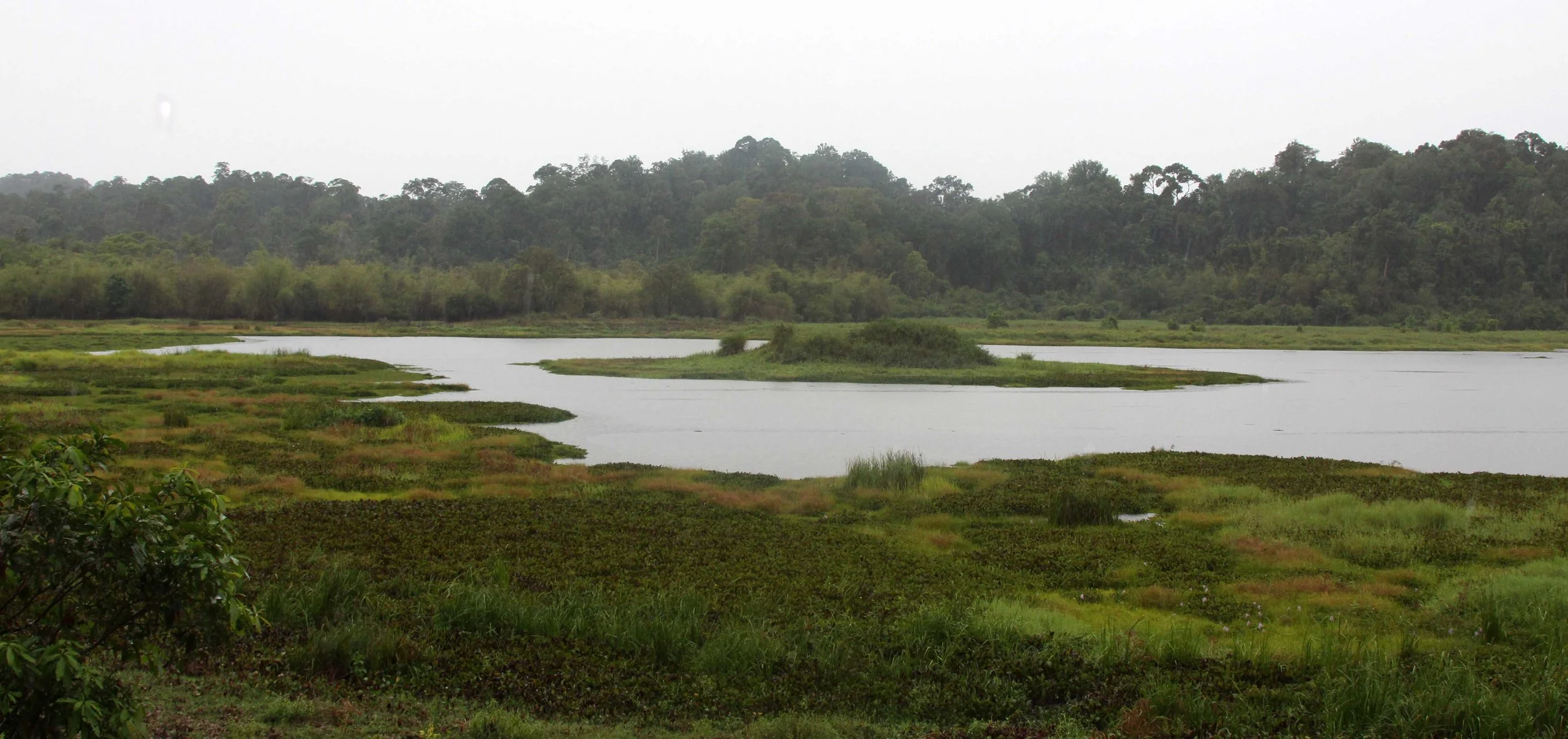 CAT TIEN NATIONAL PARK VIET NAM - CROCODILE LAKE (11).JPG