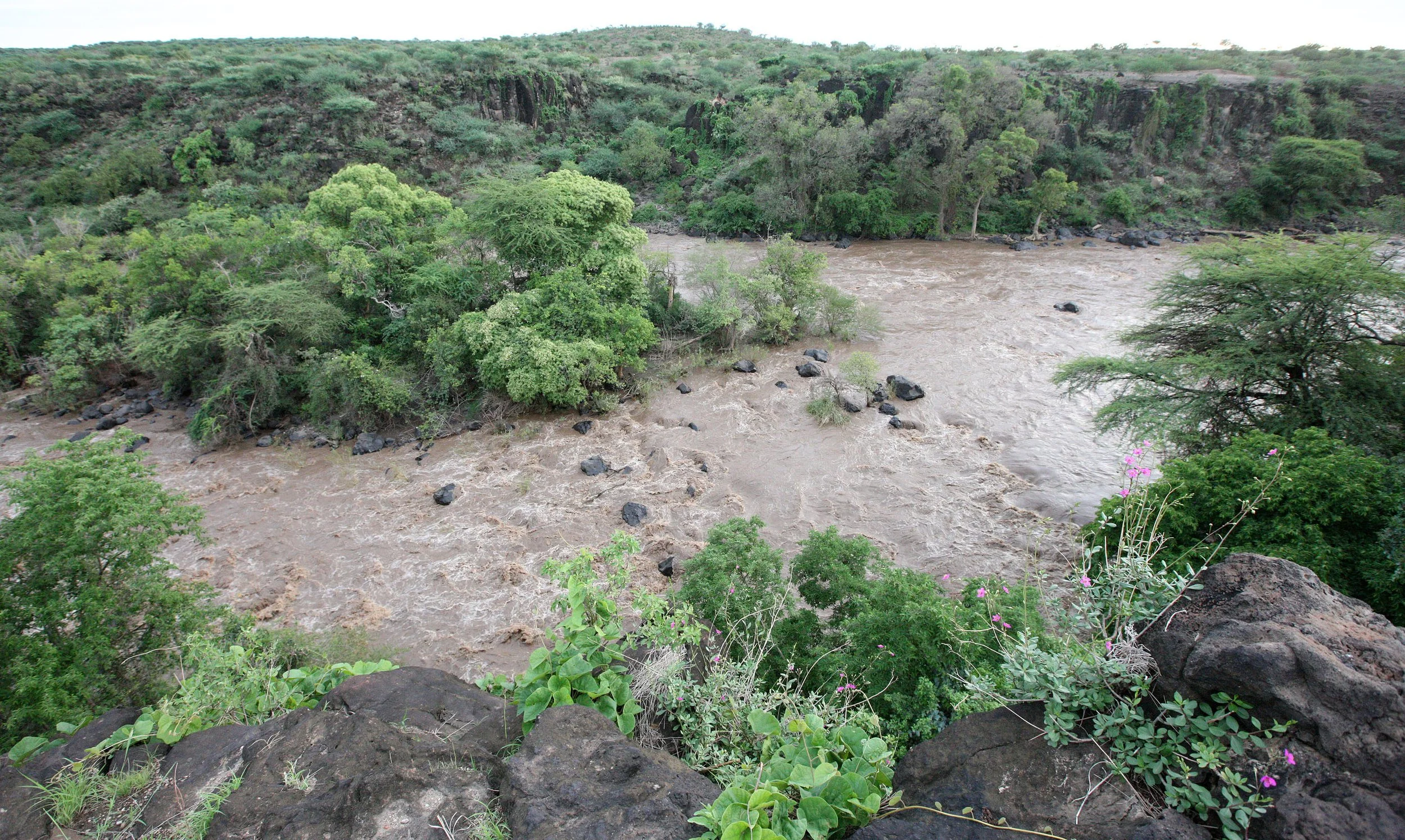 AWASH NATIONAL PARK ETHIOPIA - AWASH FALLS LODGE (2).JPG