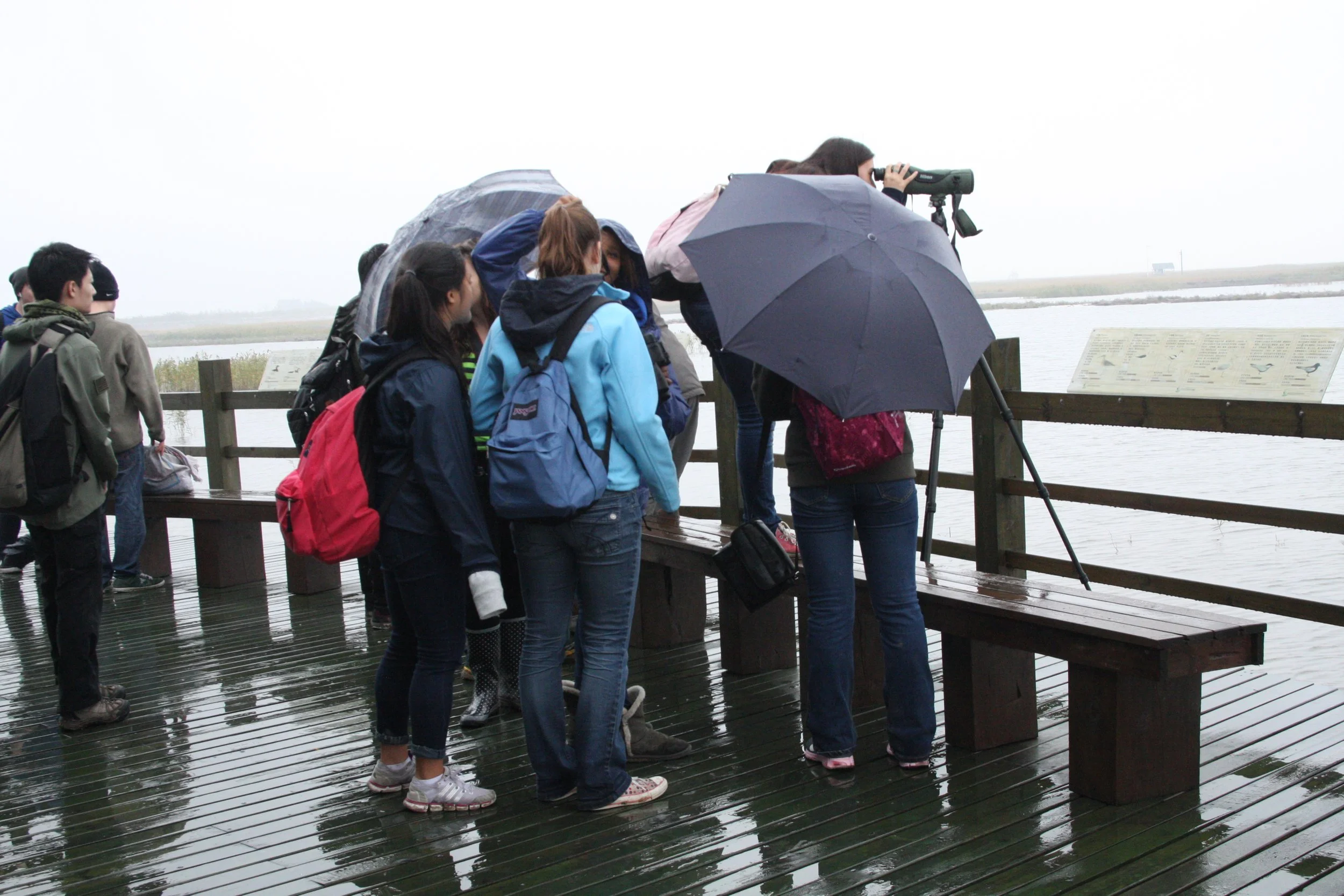 CHONGMING ISLAND - COKIE  (4).JPG