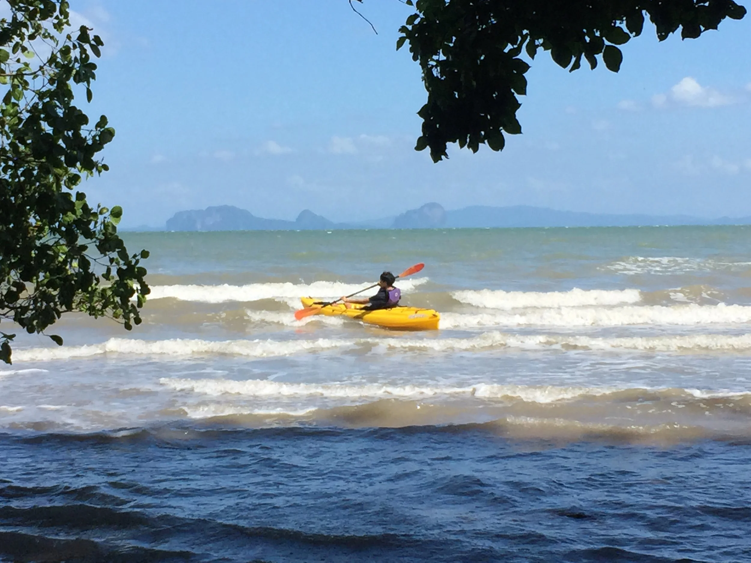 2015 Koh Lanta Garden & Nature (287).JPG