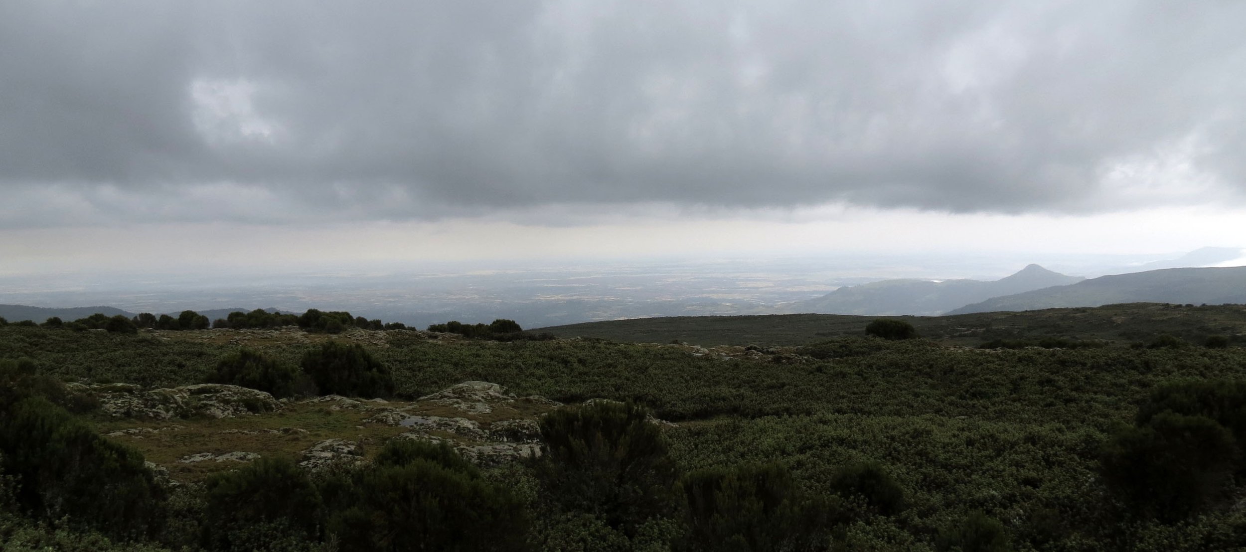 BALE MOUNTAINS NATIONAL PARK - SANETTI PLATEAU - ETHIOPIA (64).JPG