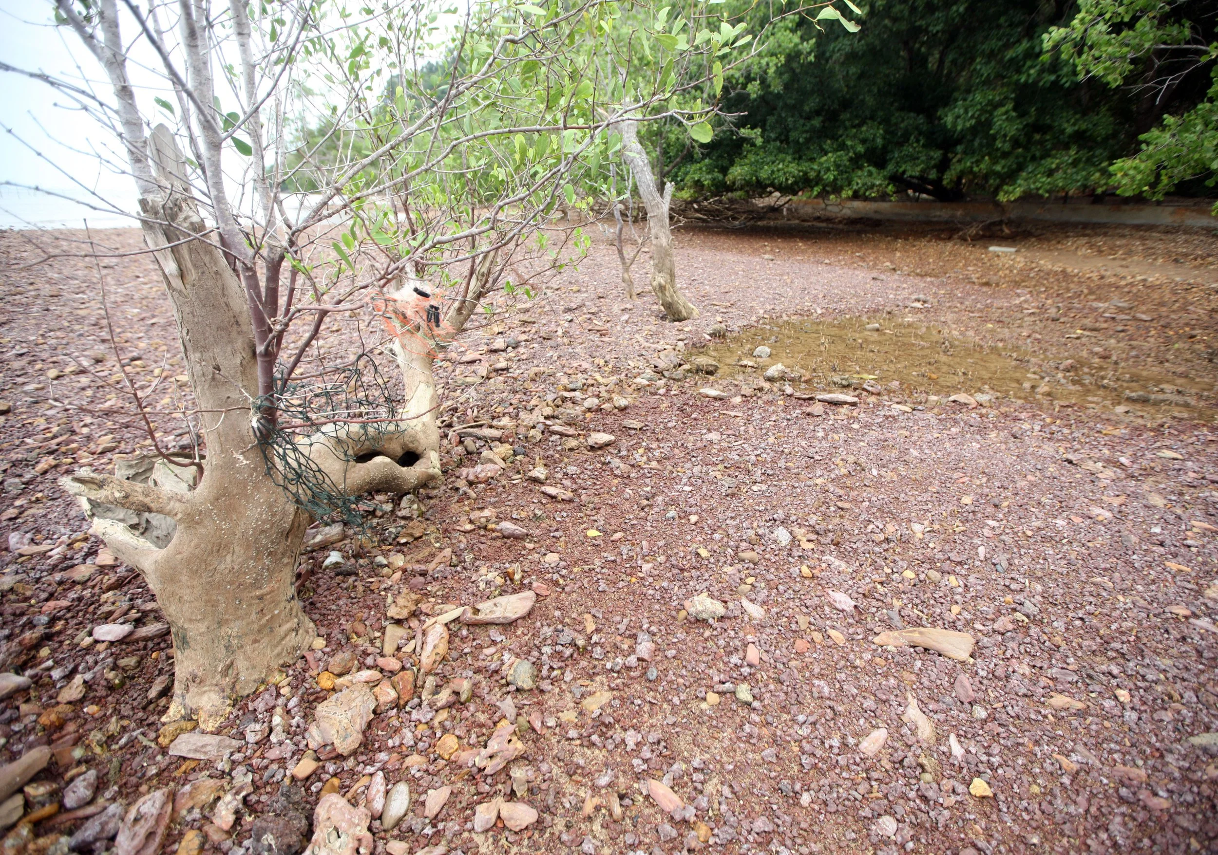 2014 Lanta Summer Fun (28).JPG