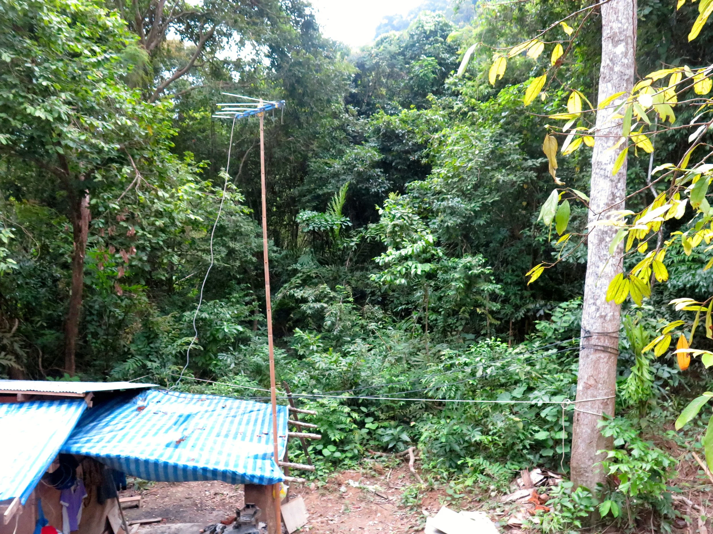 LANTA PROJECT - NOVEMBER 2014 UPDATE (60).JPG