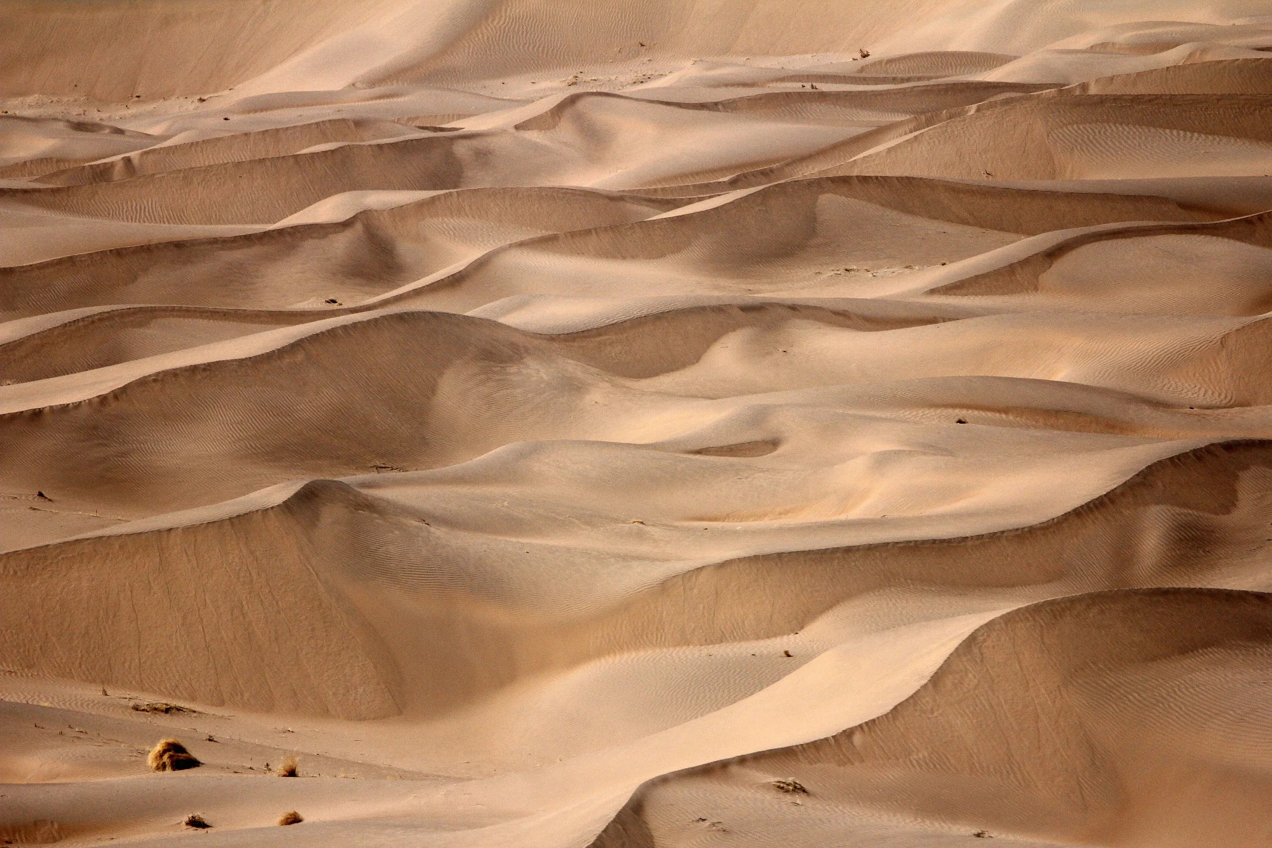 GANSU - DUNES SOUTH OF DUNHUANG - CHINA (27).JPG