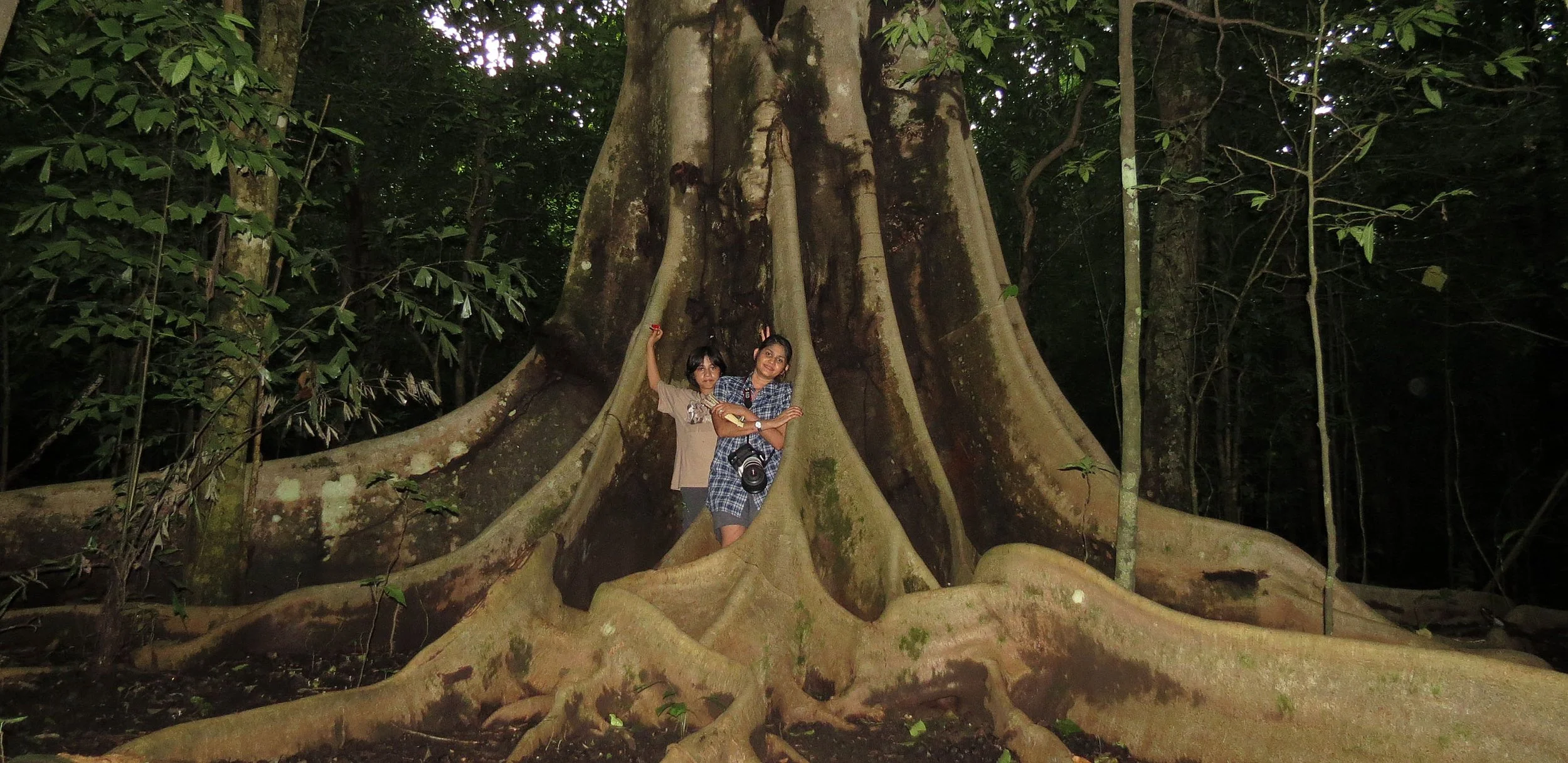 TANGKOKO NATIONAL PARK SULAWESI INDONESIA (91).JPG