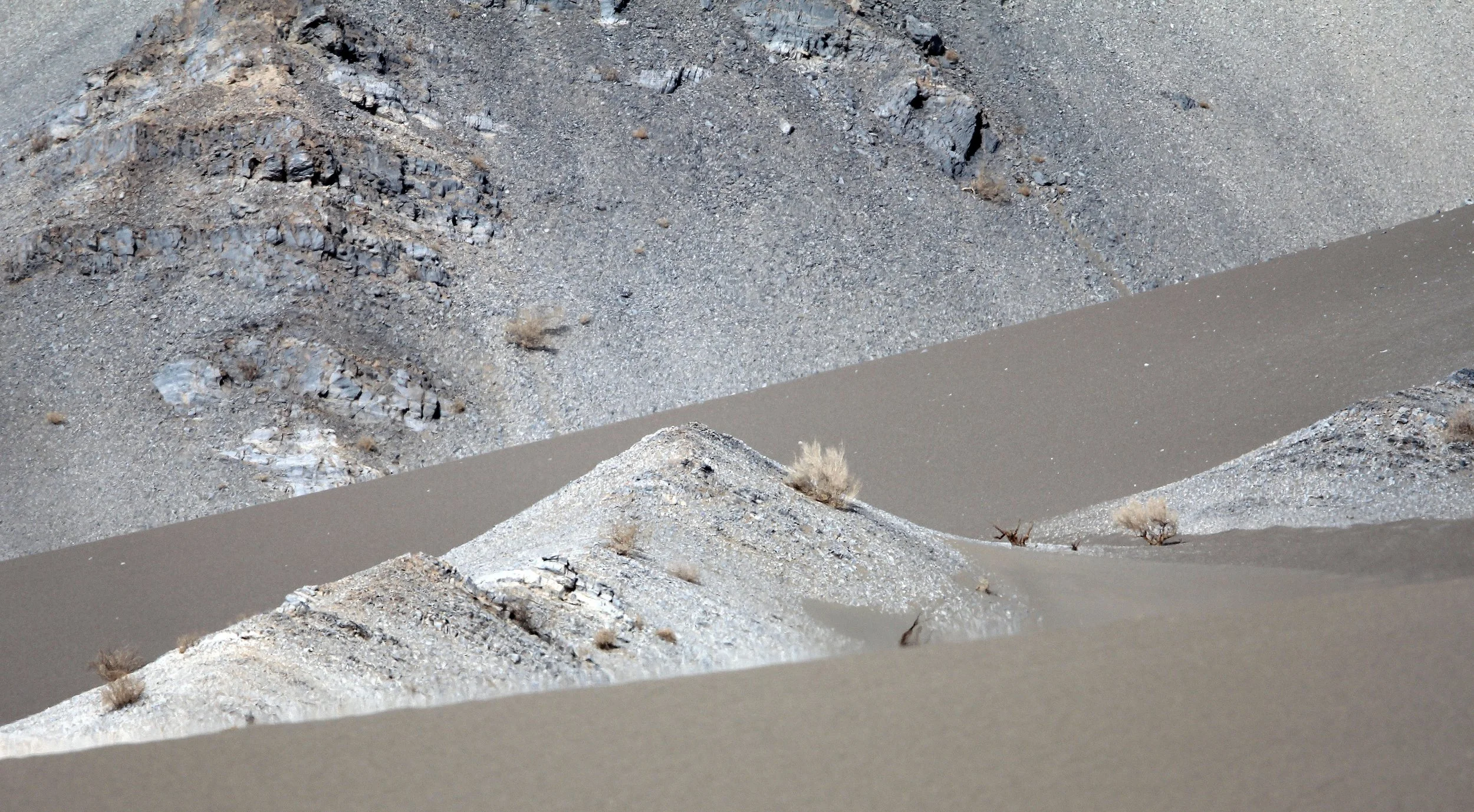 LOP NUR WILD BACTRIAN CAMEL RESERVE - XINJIANG CHINA (126).JPG