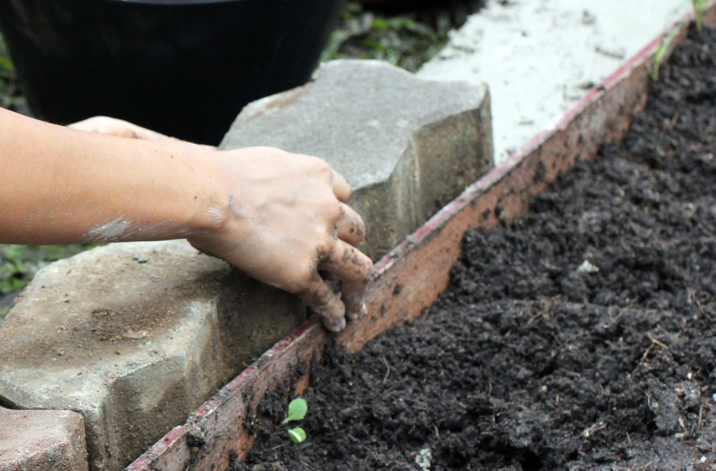 2013 Roots & Shoots Raised Garden Bed Construction at ISB First Year (83).JPG
