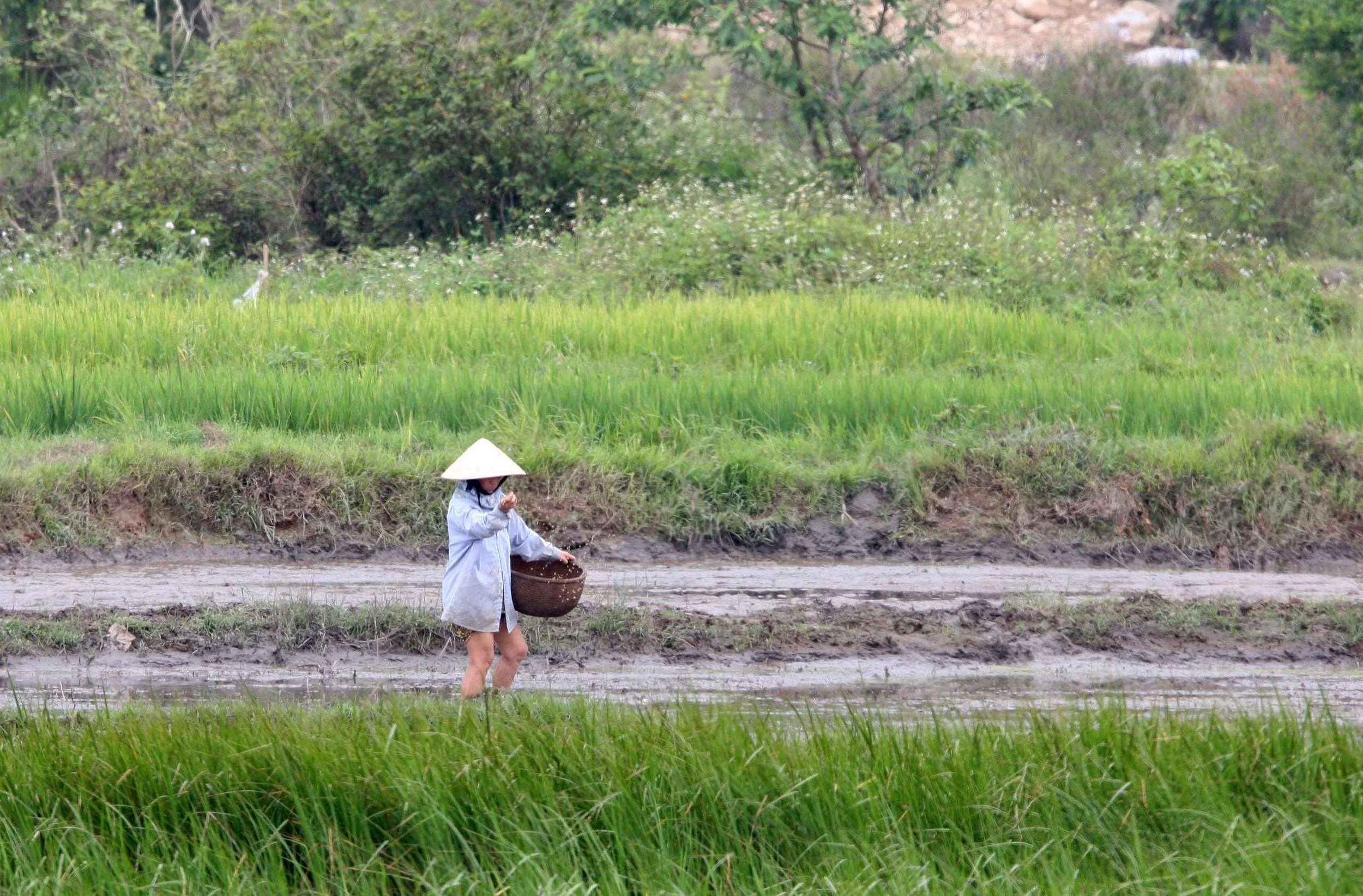 BACH MA NATIONAL PARK AND VICINIT VIET NAM (3).JPG