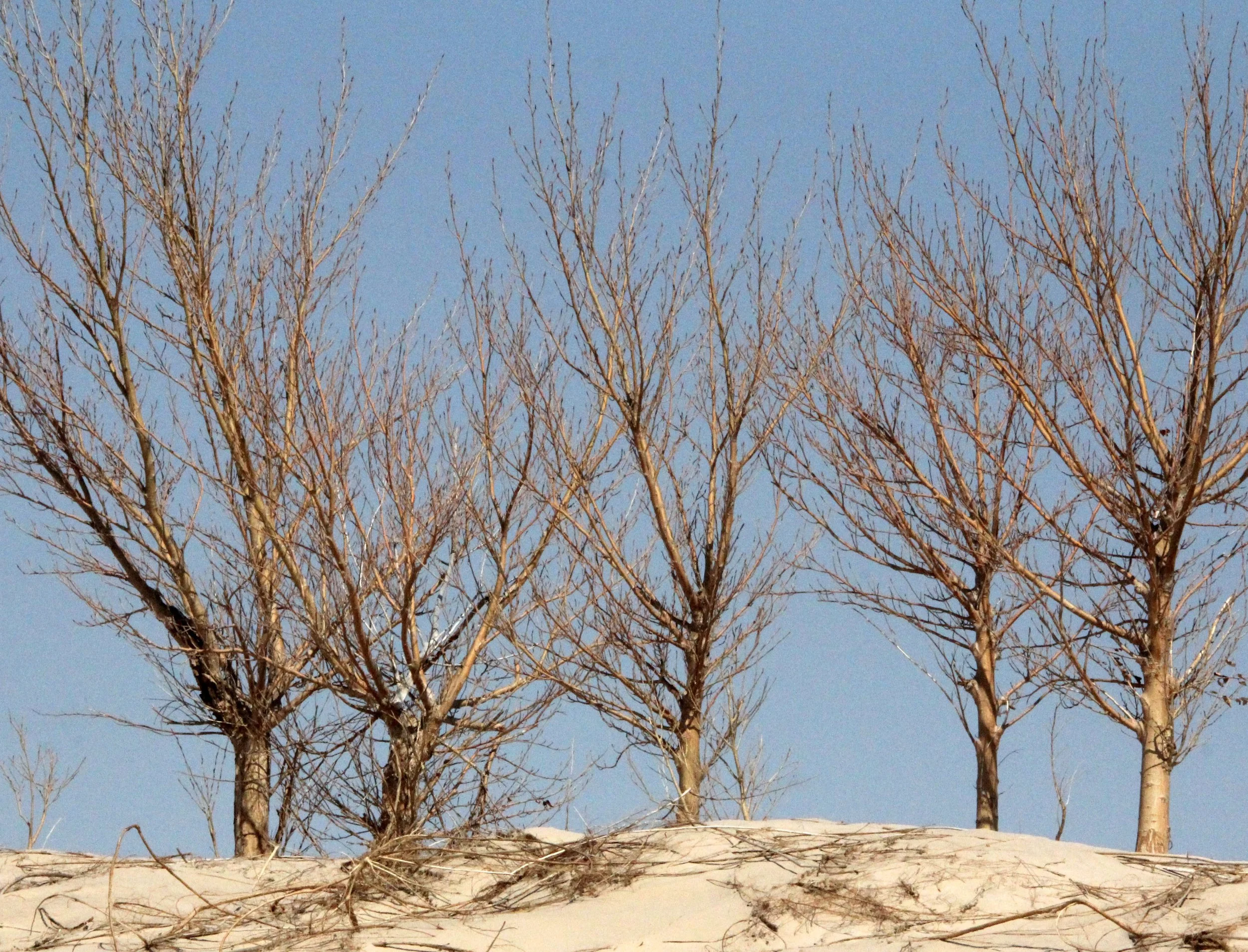 INNER MONGOLIA 2013 (827).JPG