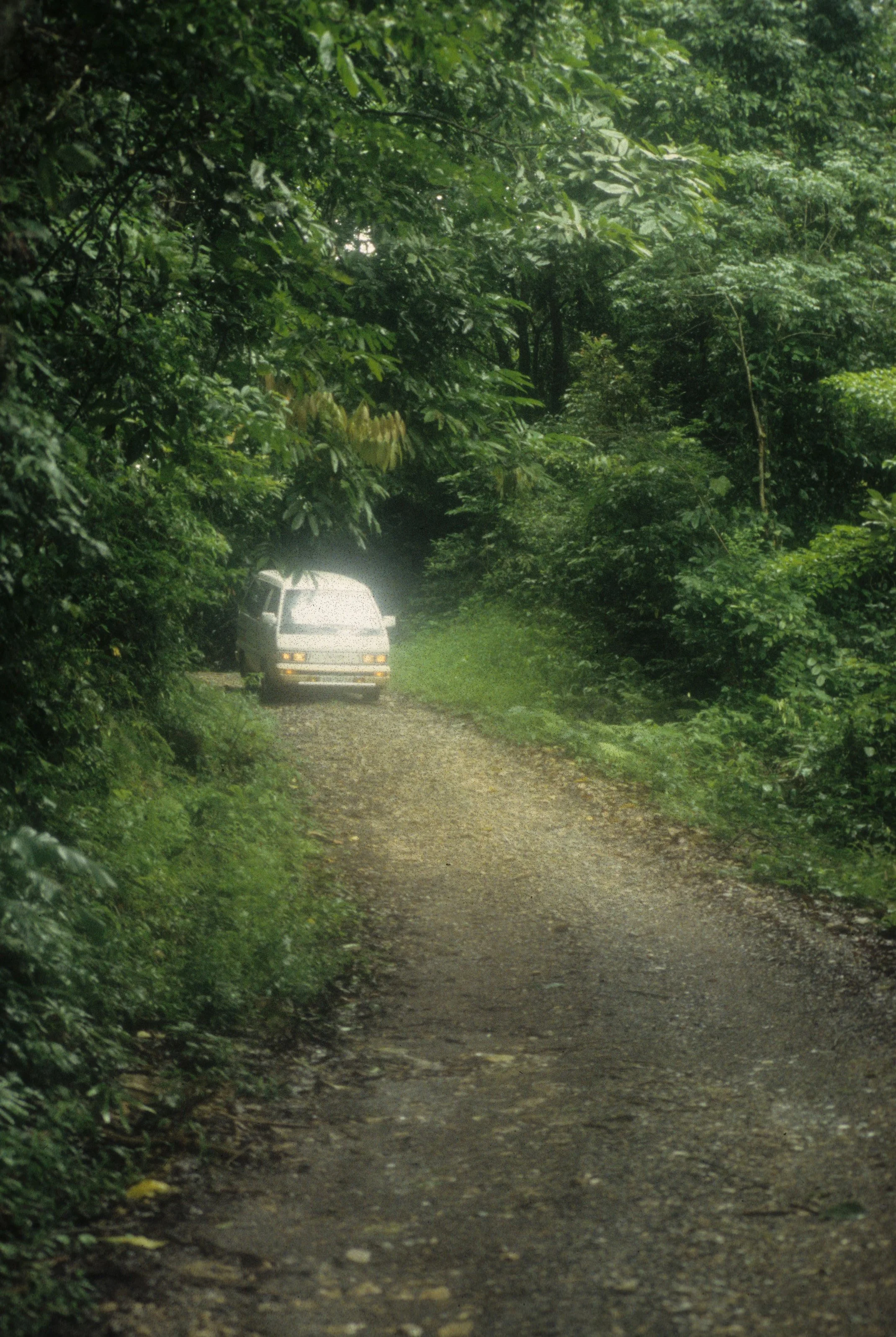 CUC PHUONG NP - ROAD TO INTERIOR.jpg