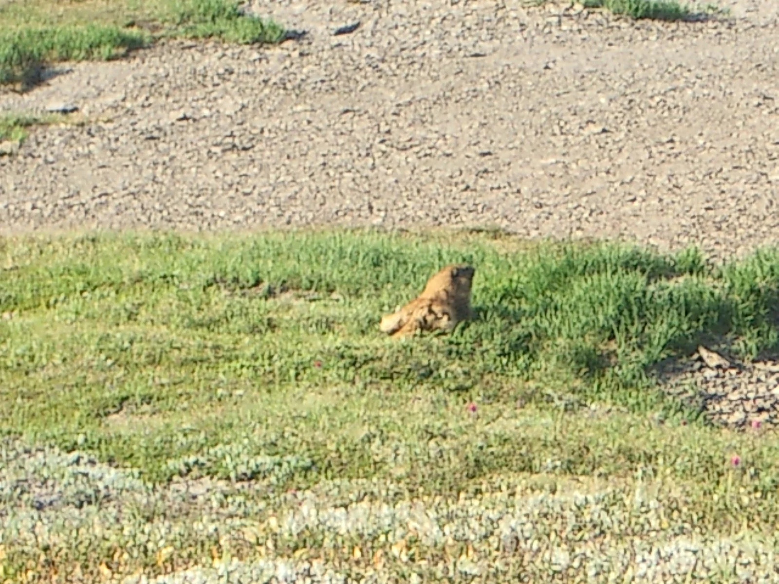 2003-7-31 FAMILY REUNION IN WASHINGTON AND CANADA (82).JPG